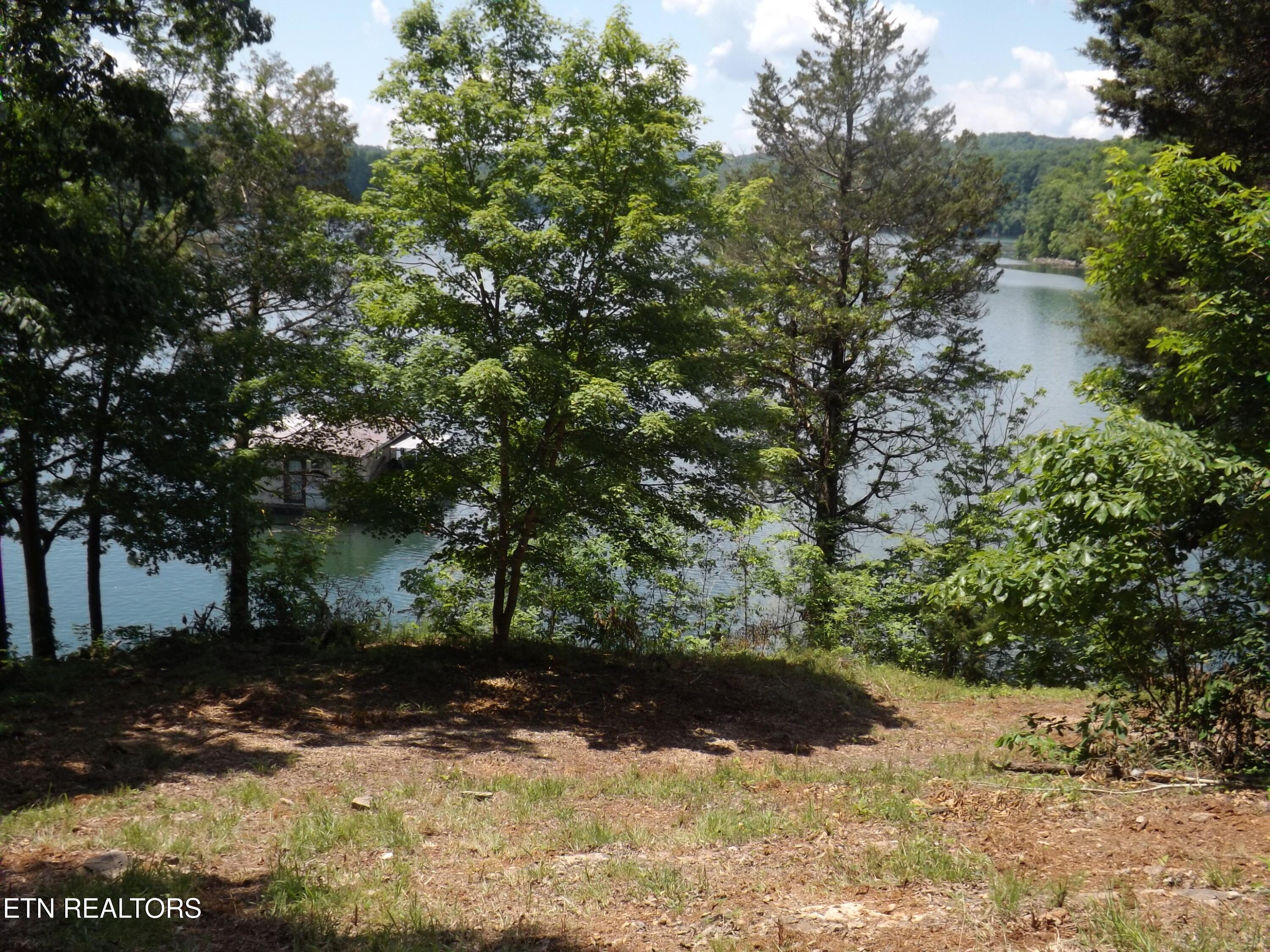 Norris Lake Real Estate - Image# 1