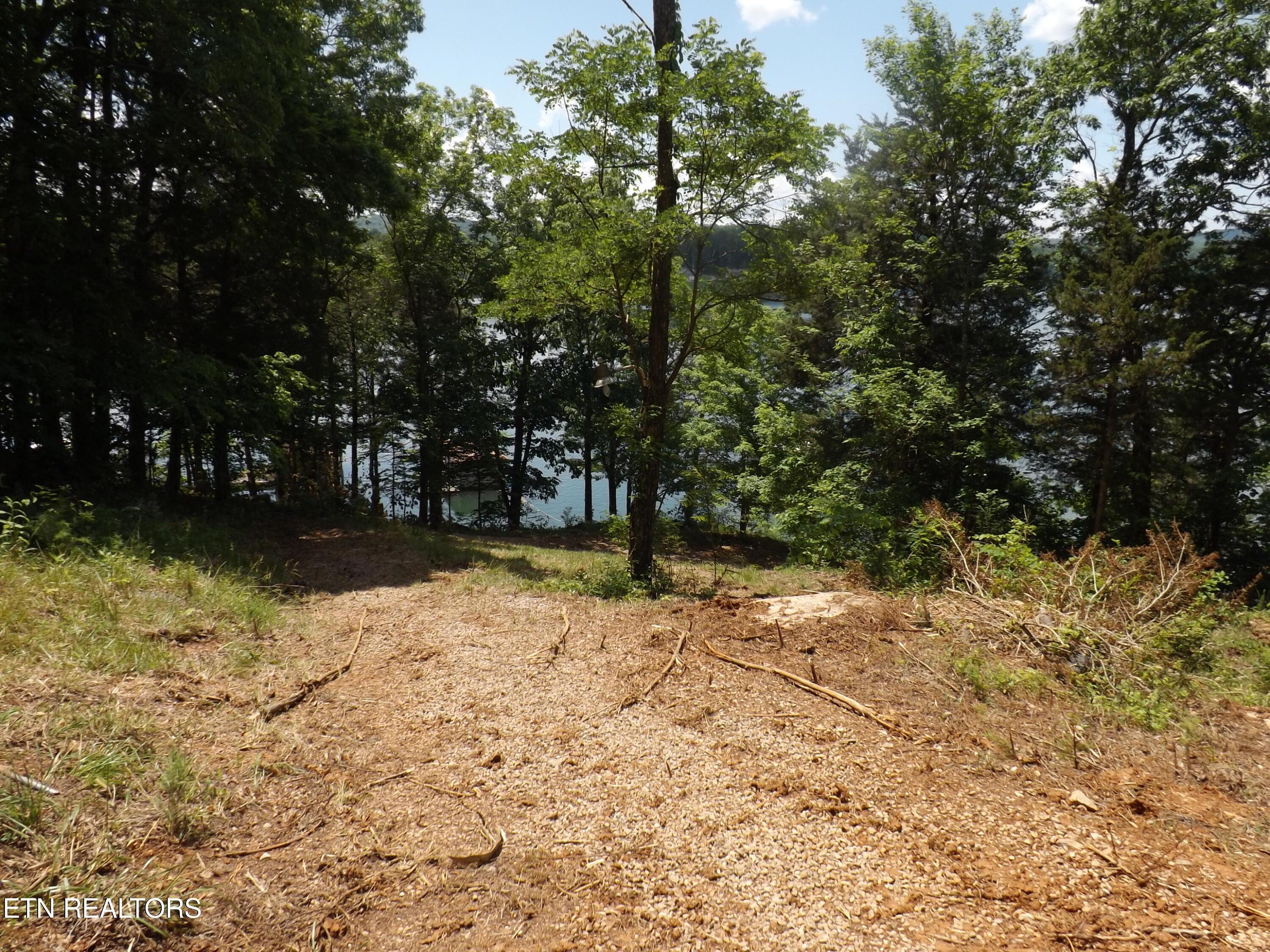 Norris Lake Real Estate - Image# 4