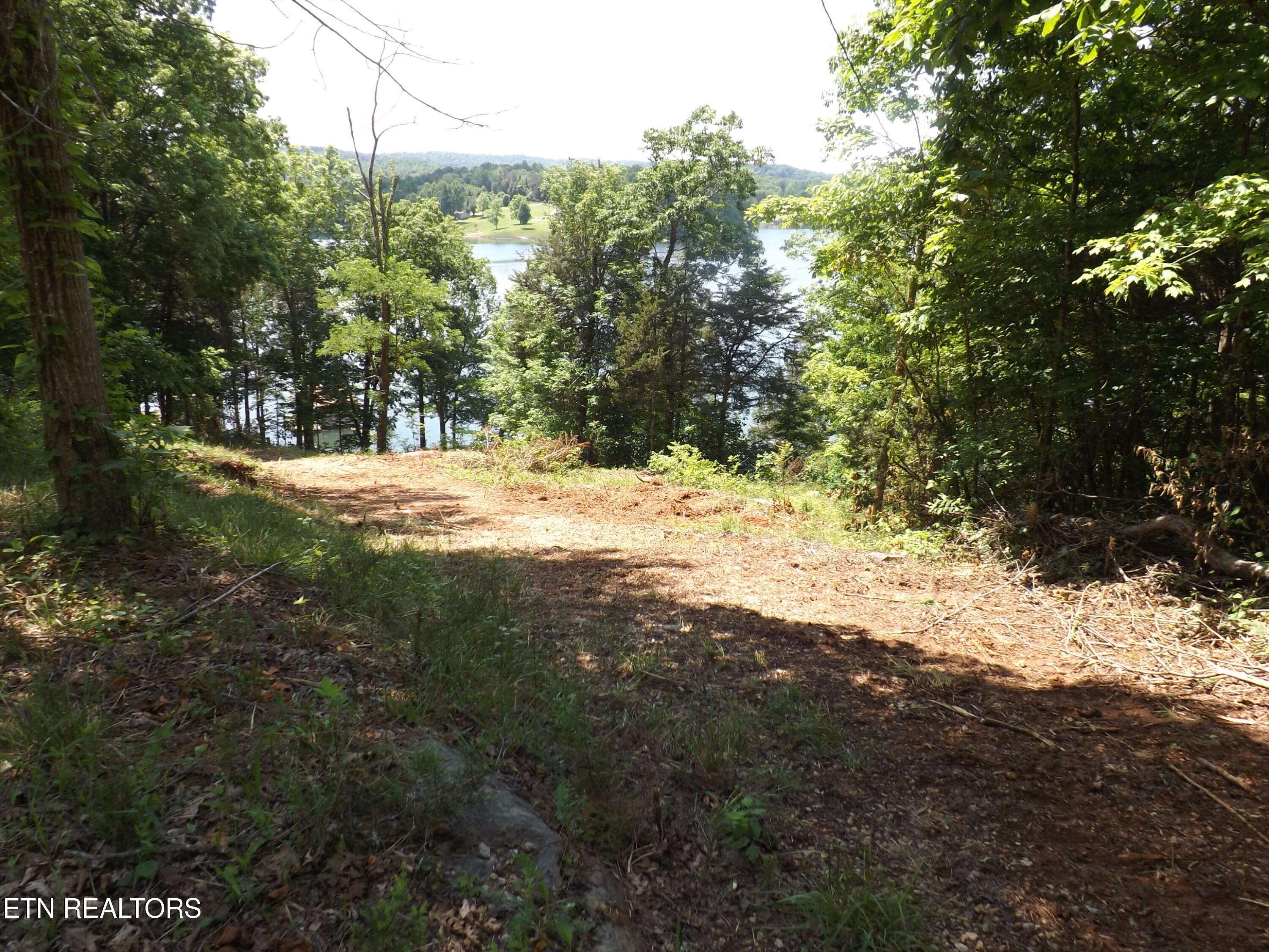 Norris Lake Real Estate - Image# 6