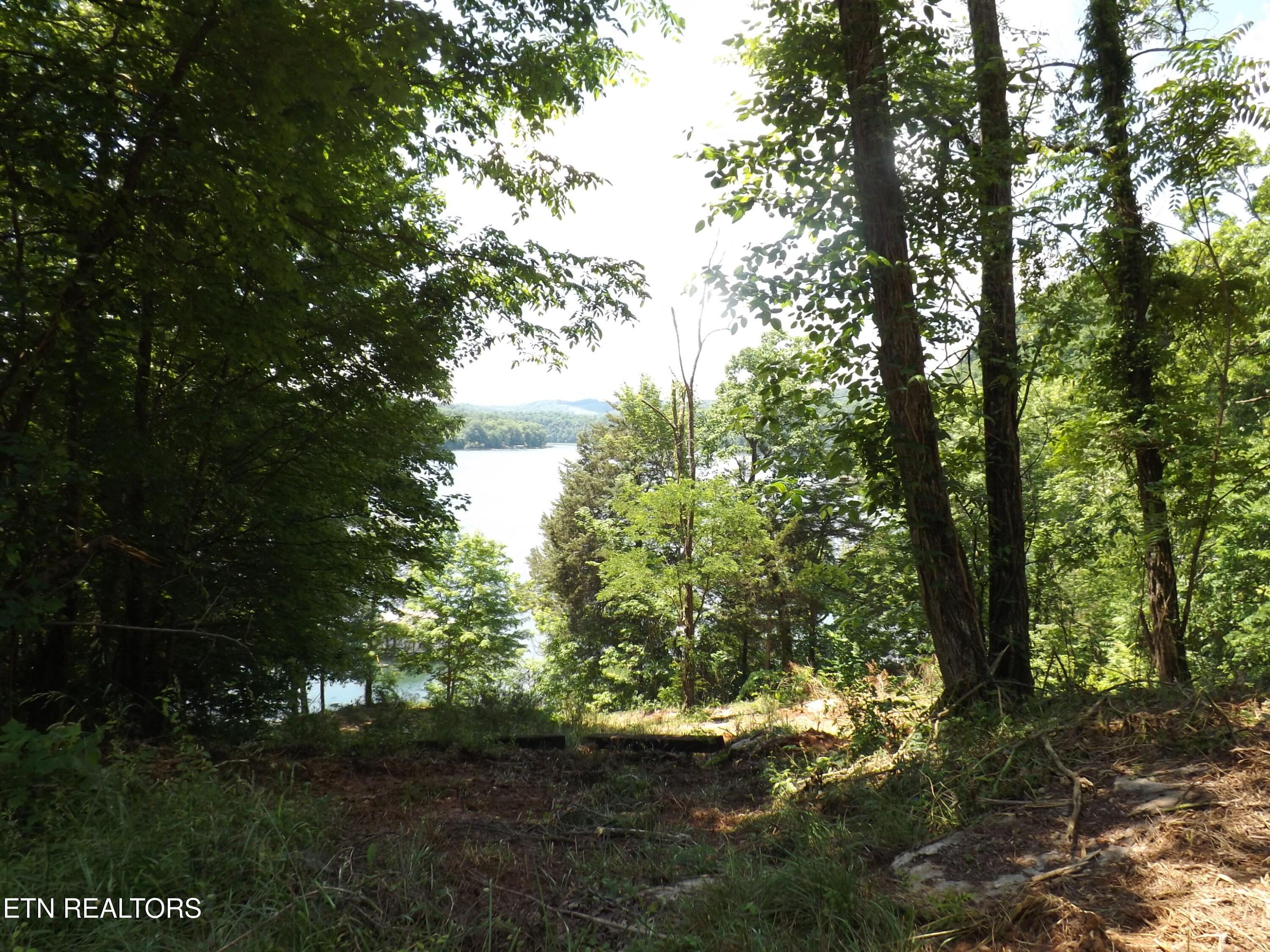 Norris Lake Real Estate - Image# 5