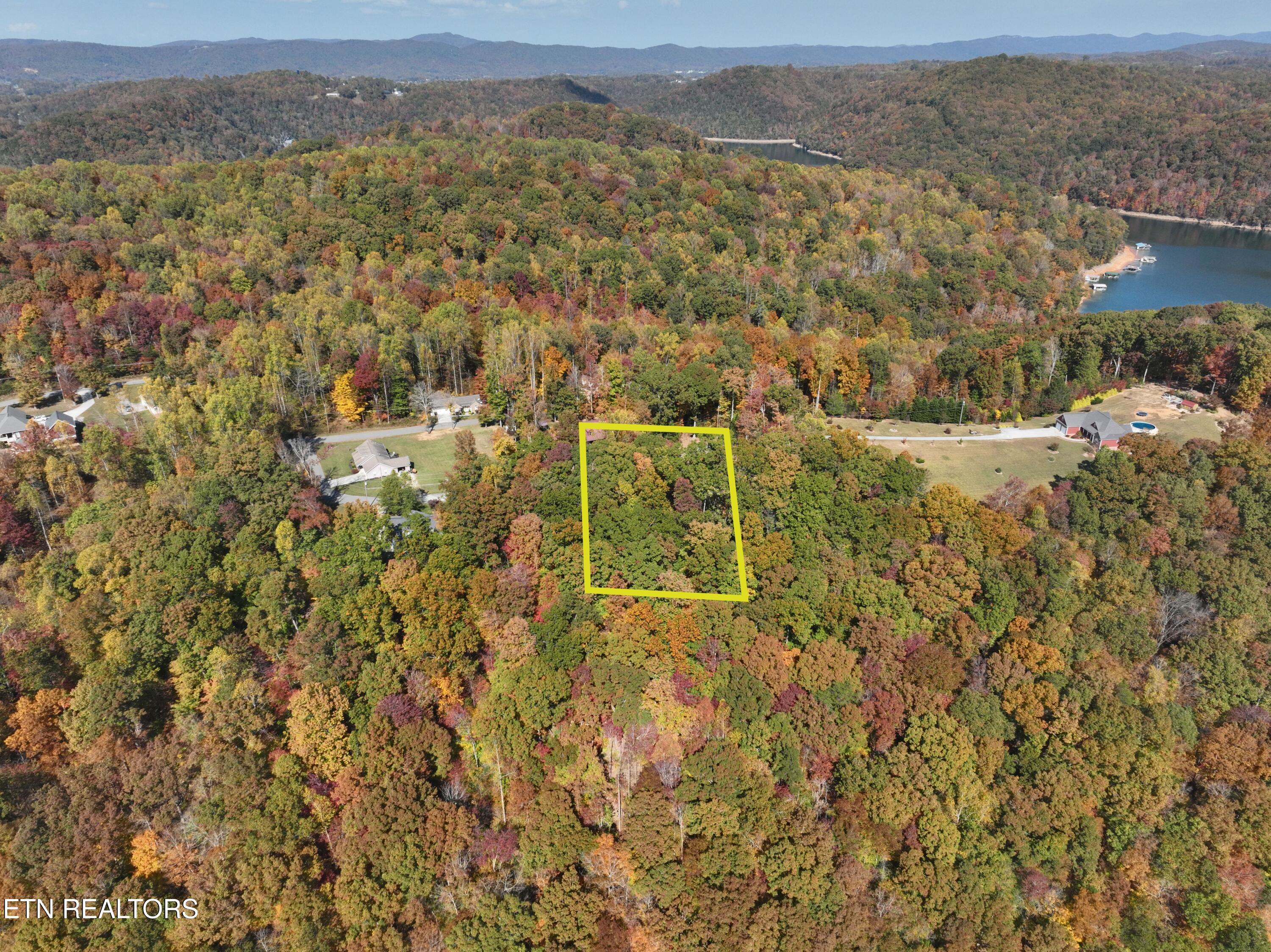 Norris Lake Real Estate - Image# 3