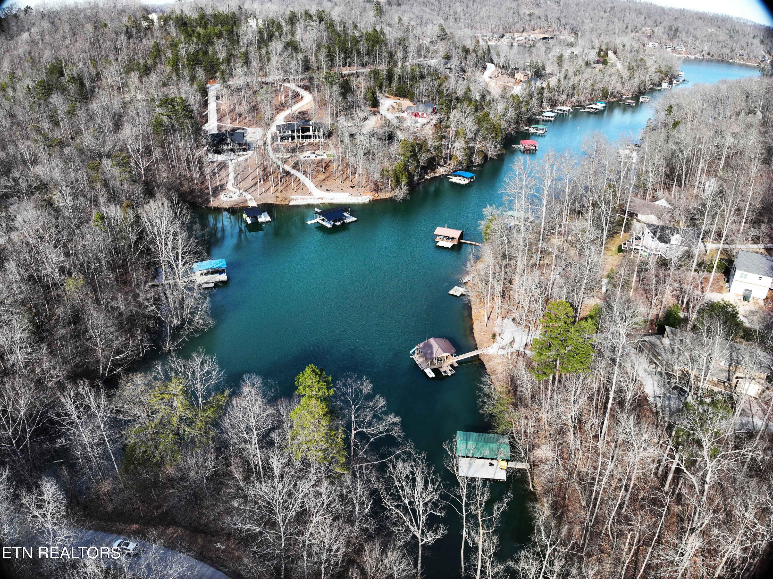 Norris Lake Real Estate - Image# 5