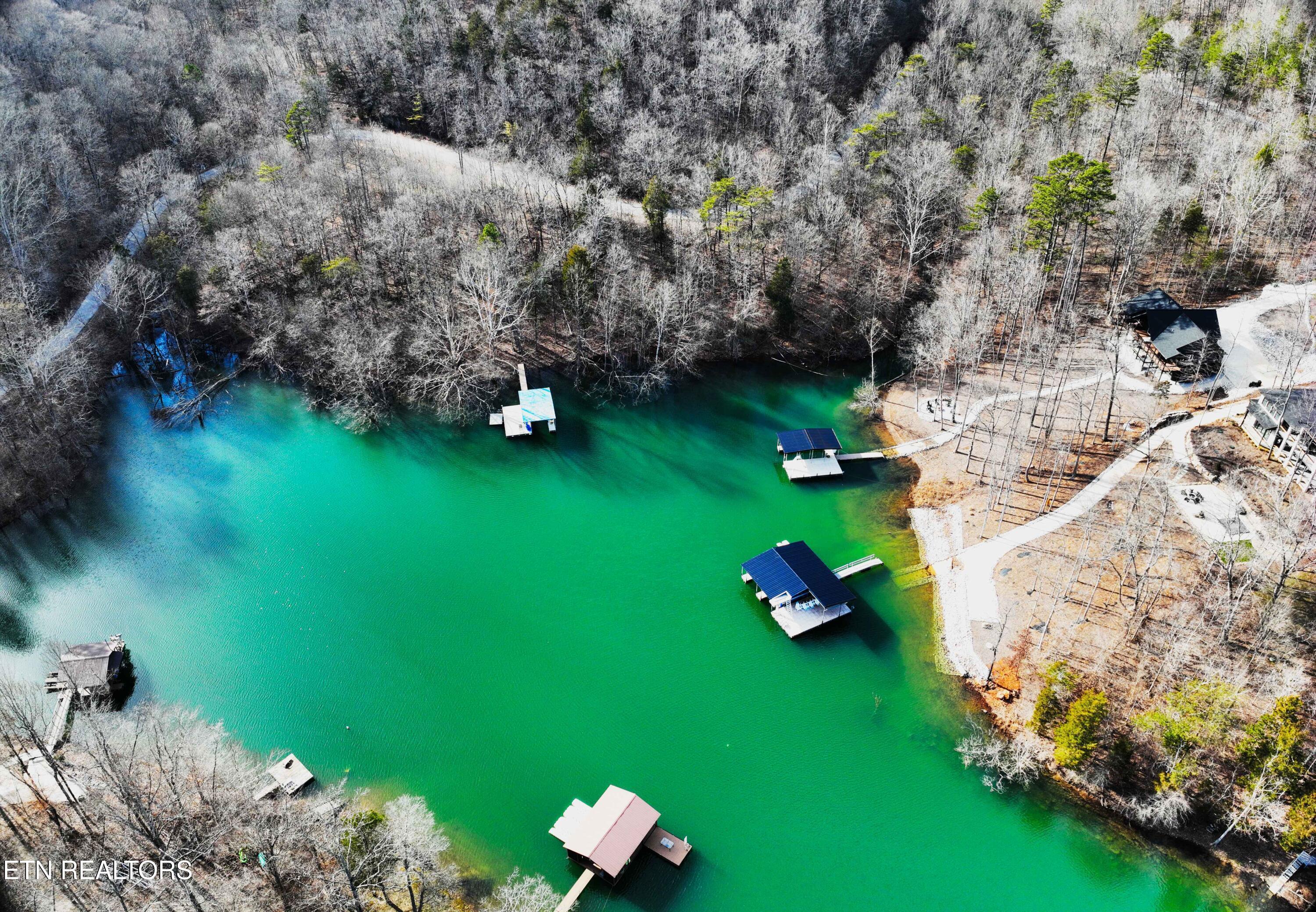 Norris Lake Real Estate - Image# 12