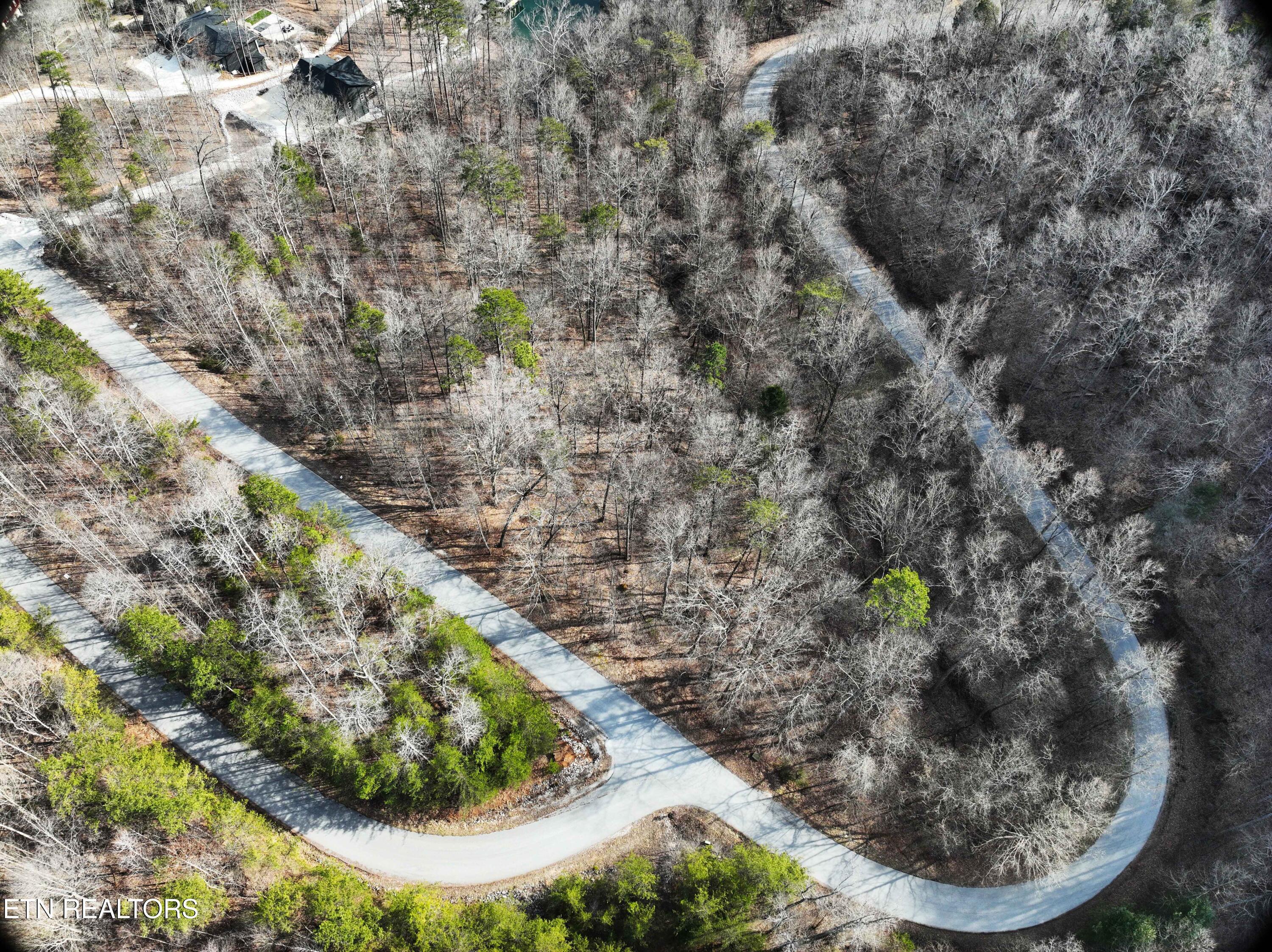 Norris Lake Real Estate - Image# 14