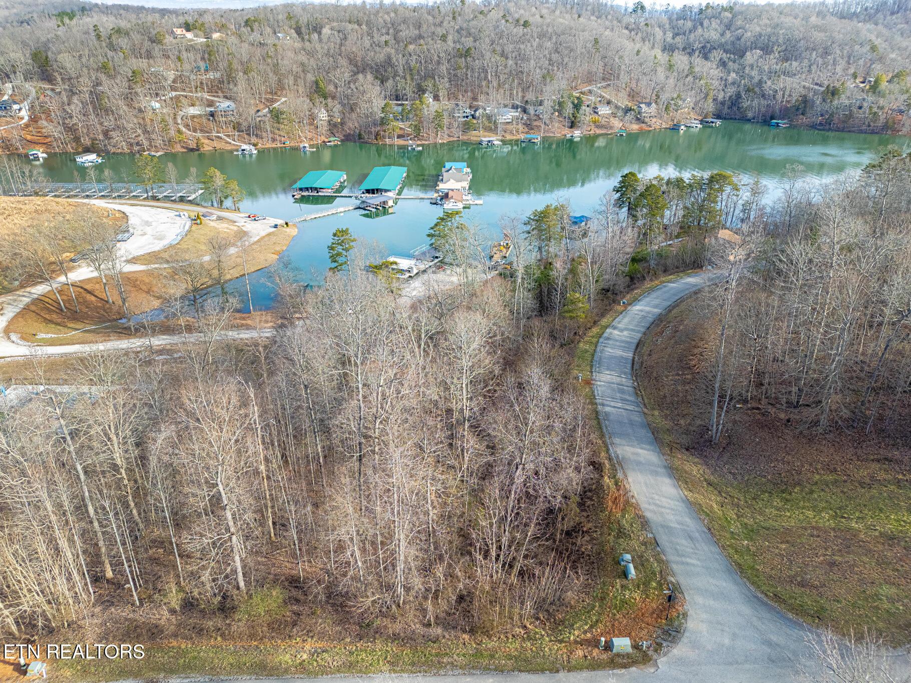 Norris Lake Real Estate - Image# 11