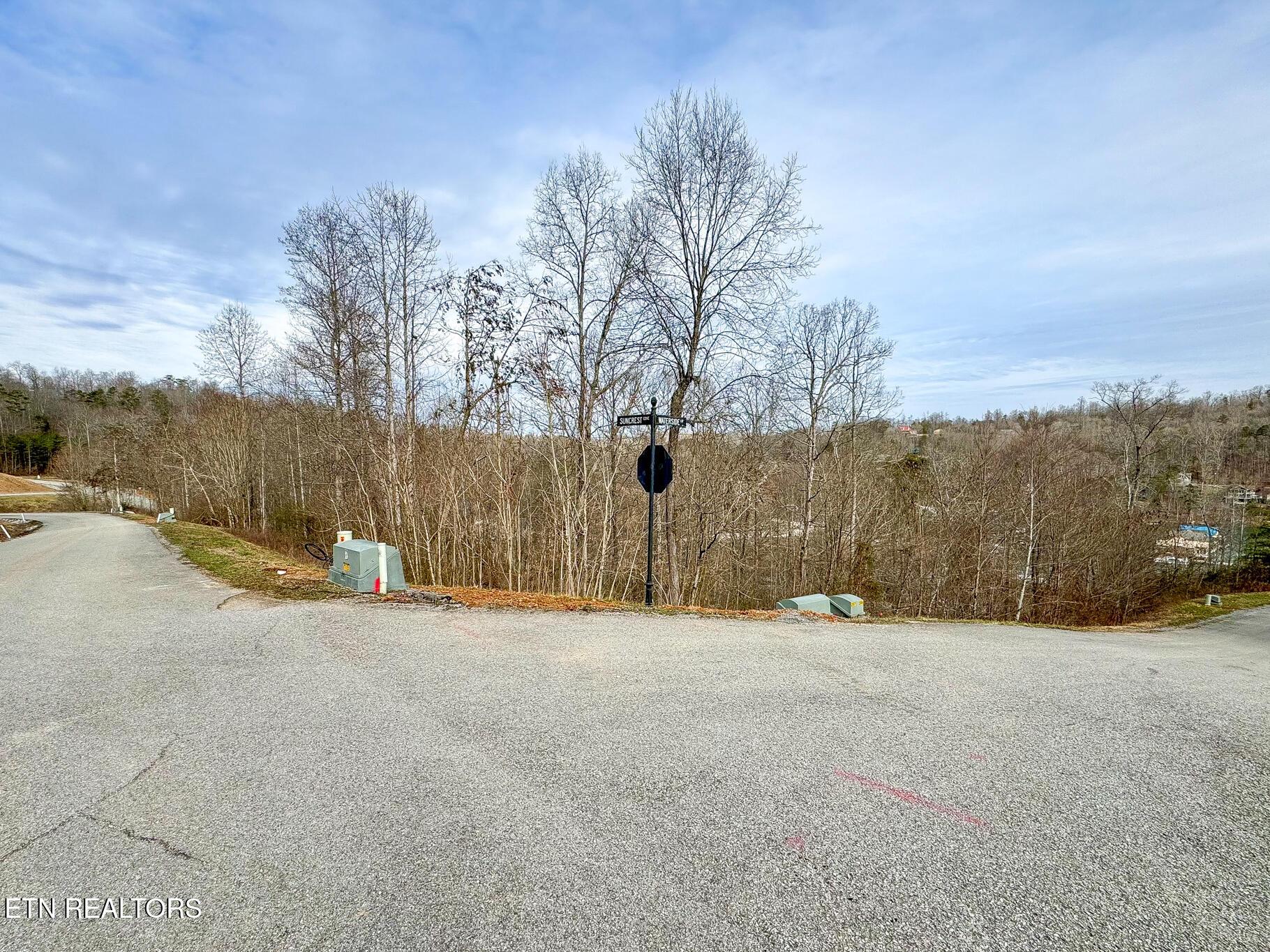 Norris Lake Real Estate - Image# 8