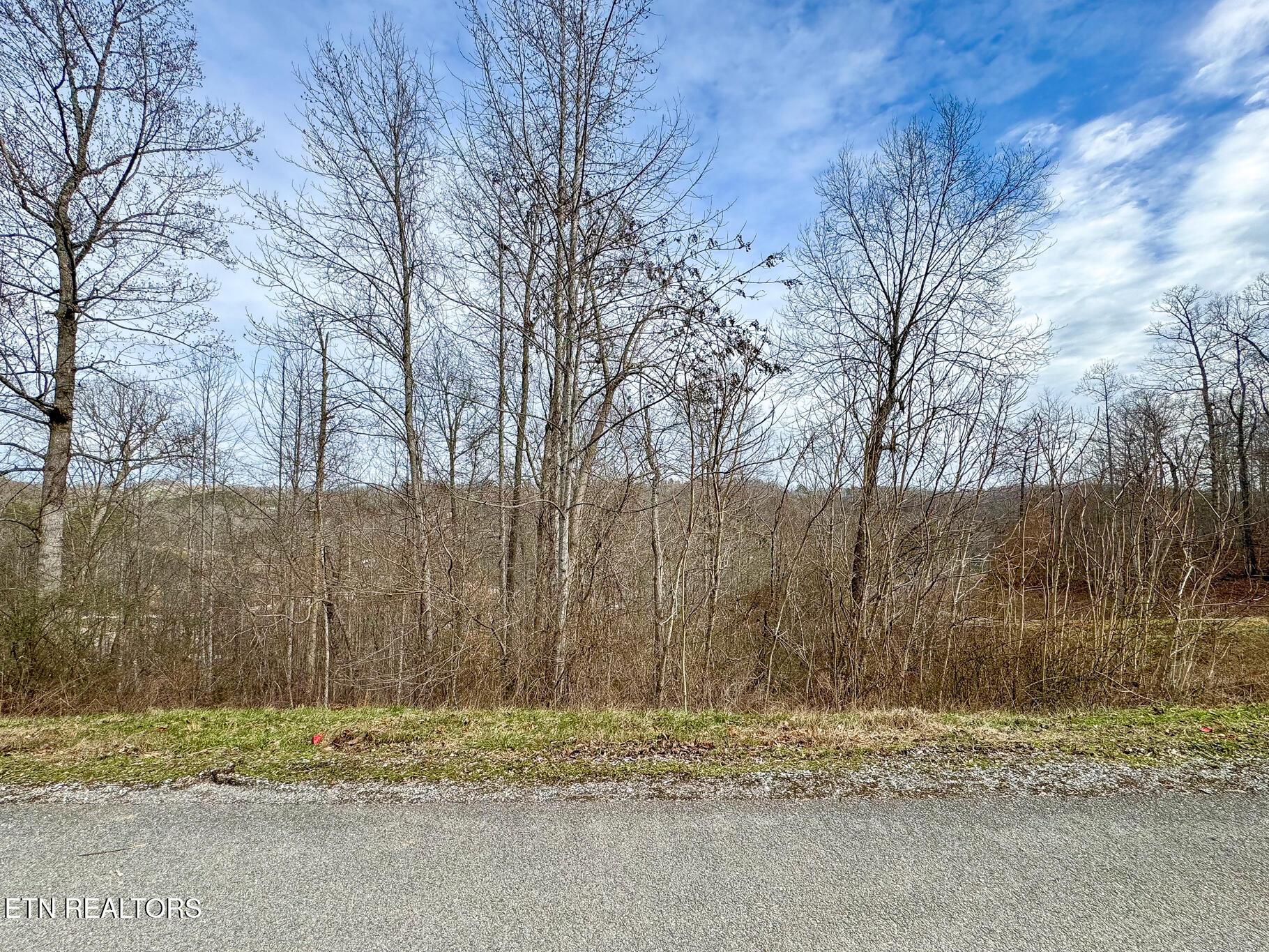 Norris Lake Real Estate - Image# 2