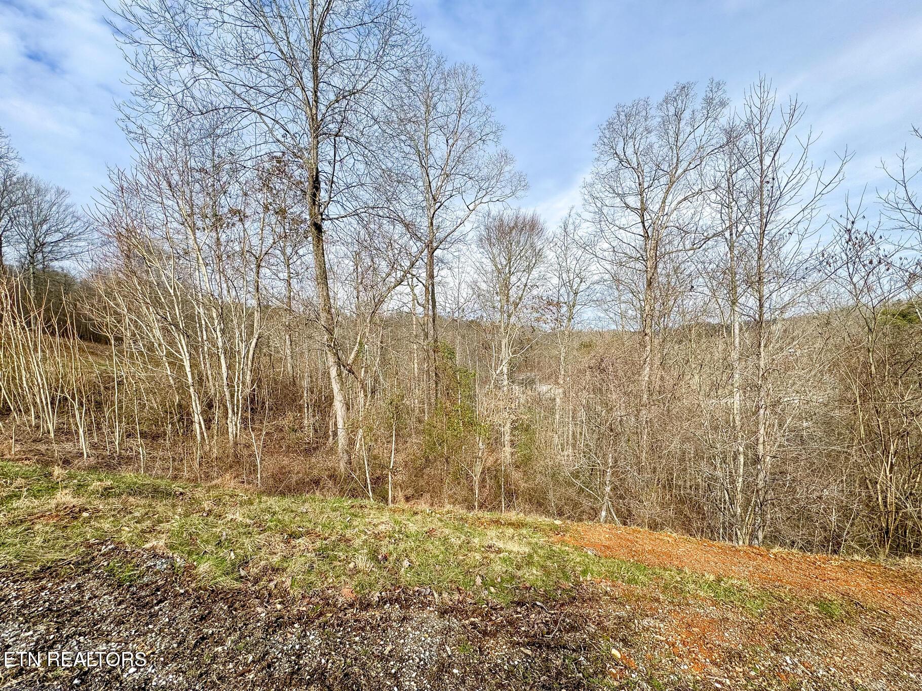 Norris Lake Real Estate - Image# 5