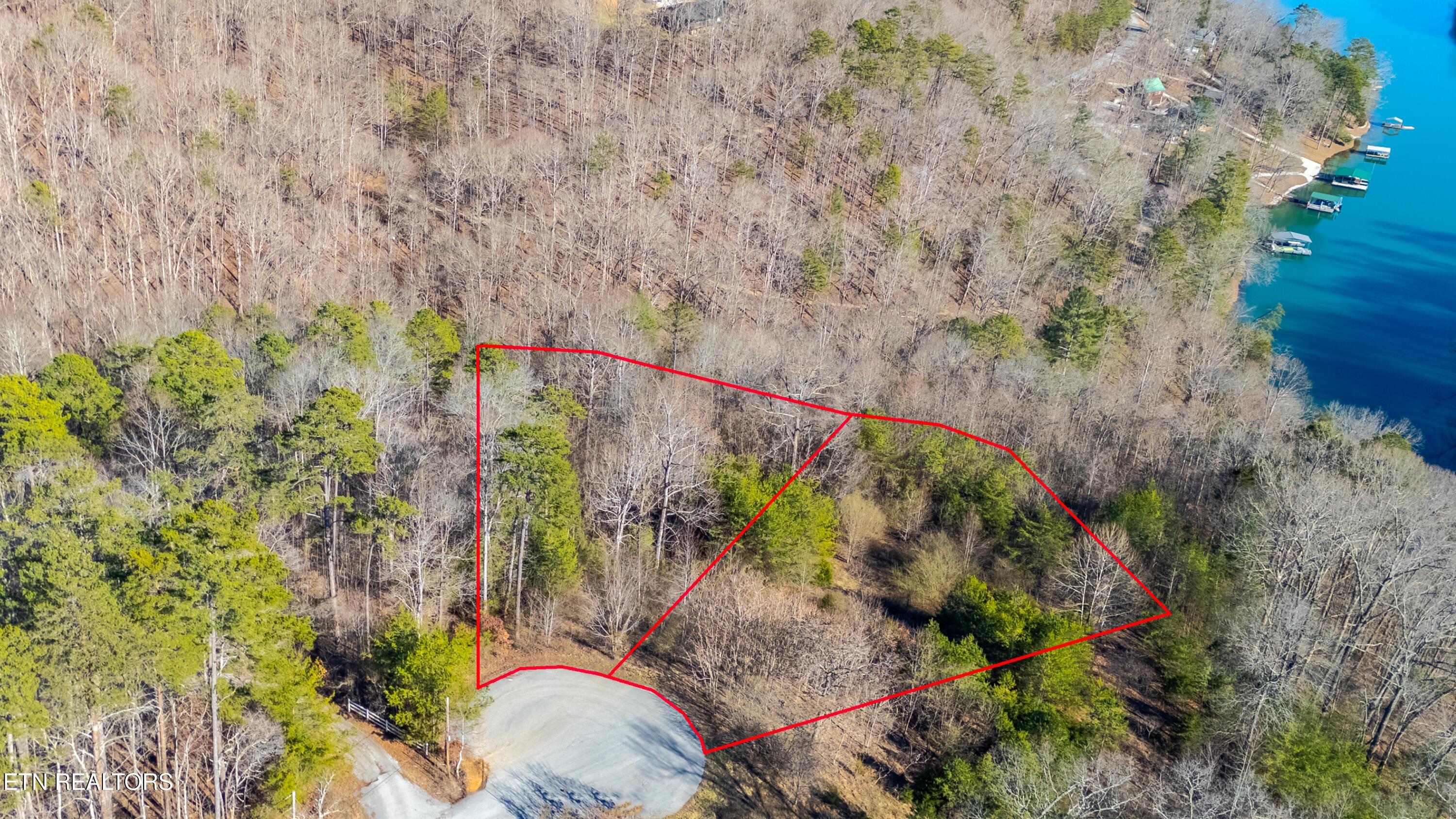 Norris Lake Real Estate - Image# 4