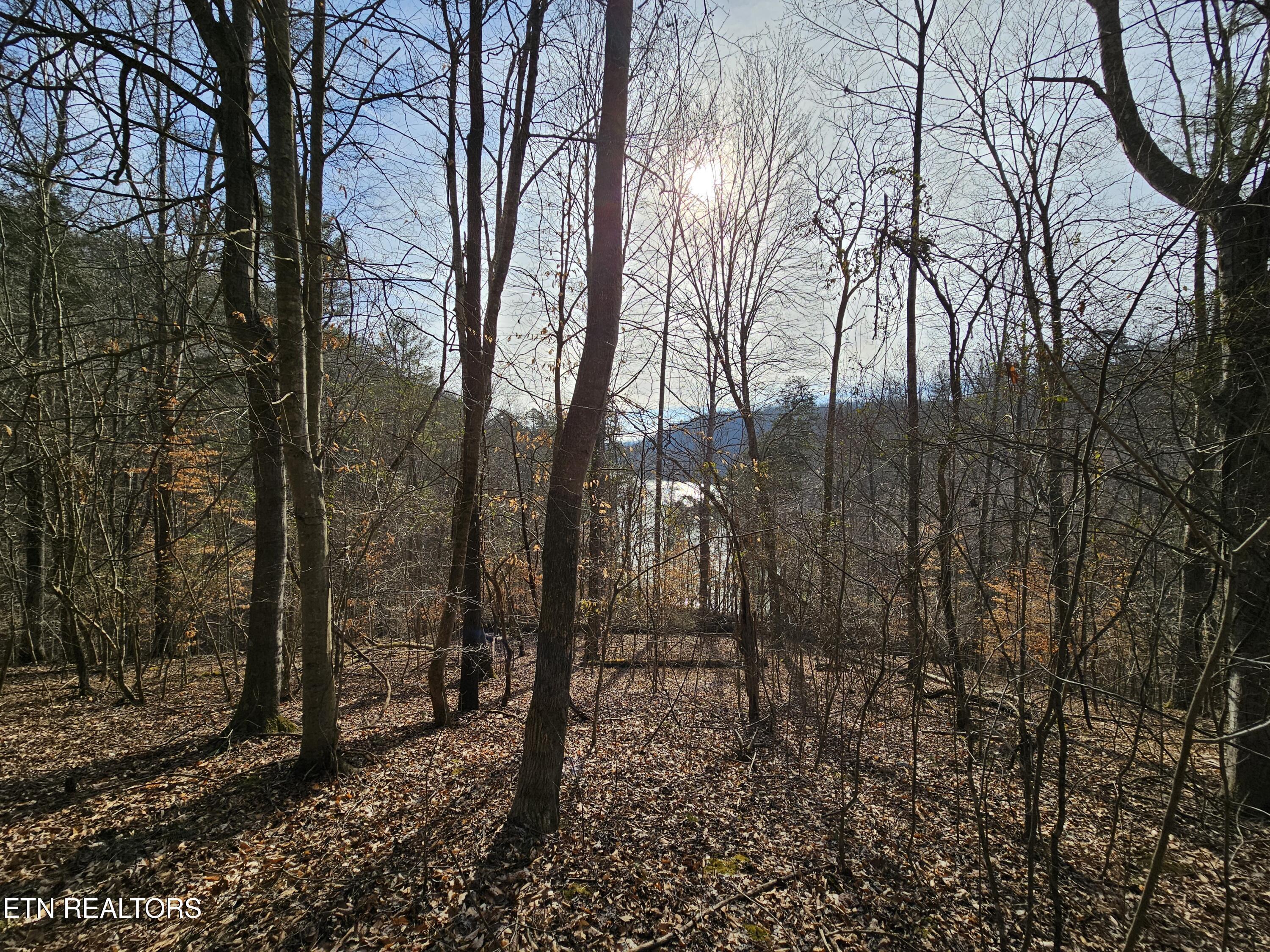 Norris Lake Real Estate - Image# 2