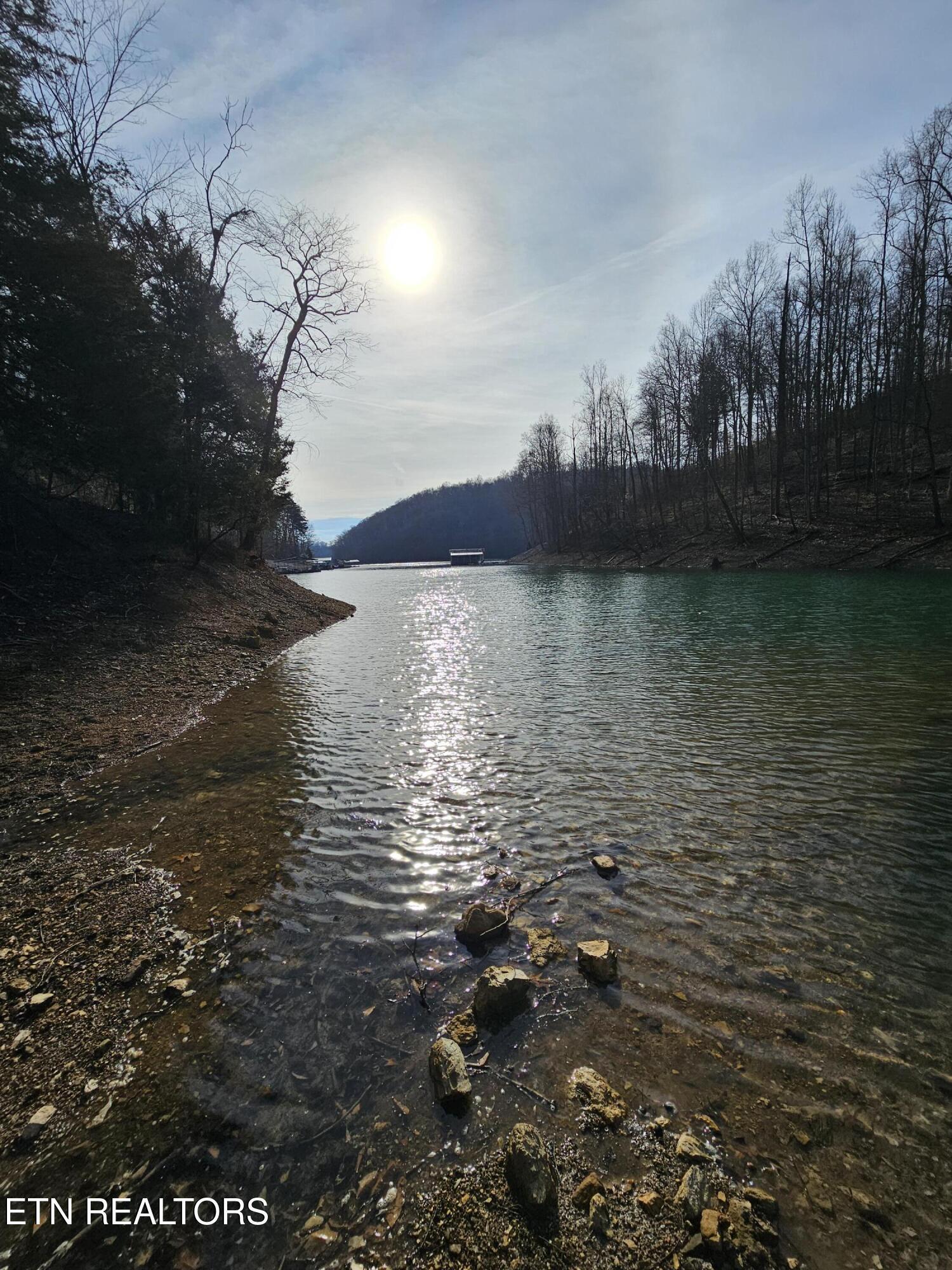 Norris Lake Real Estate - Image# 2