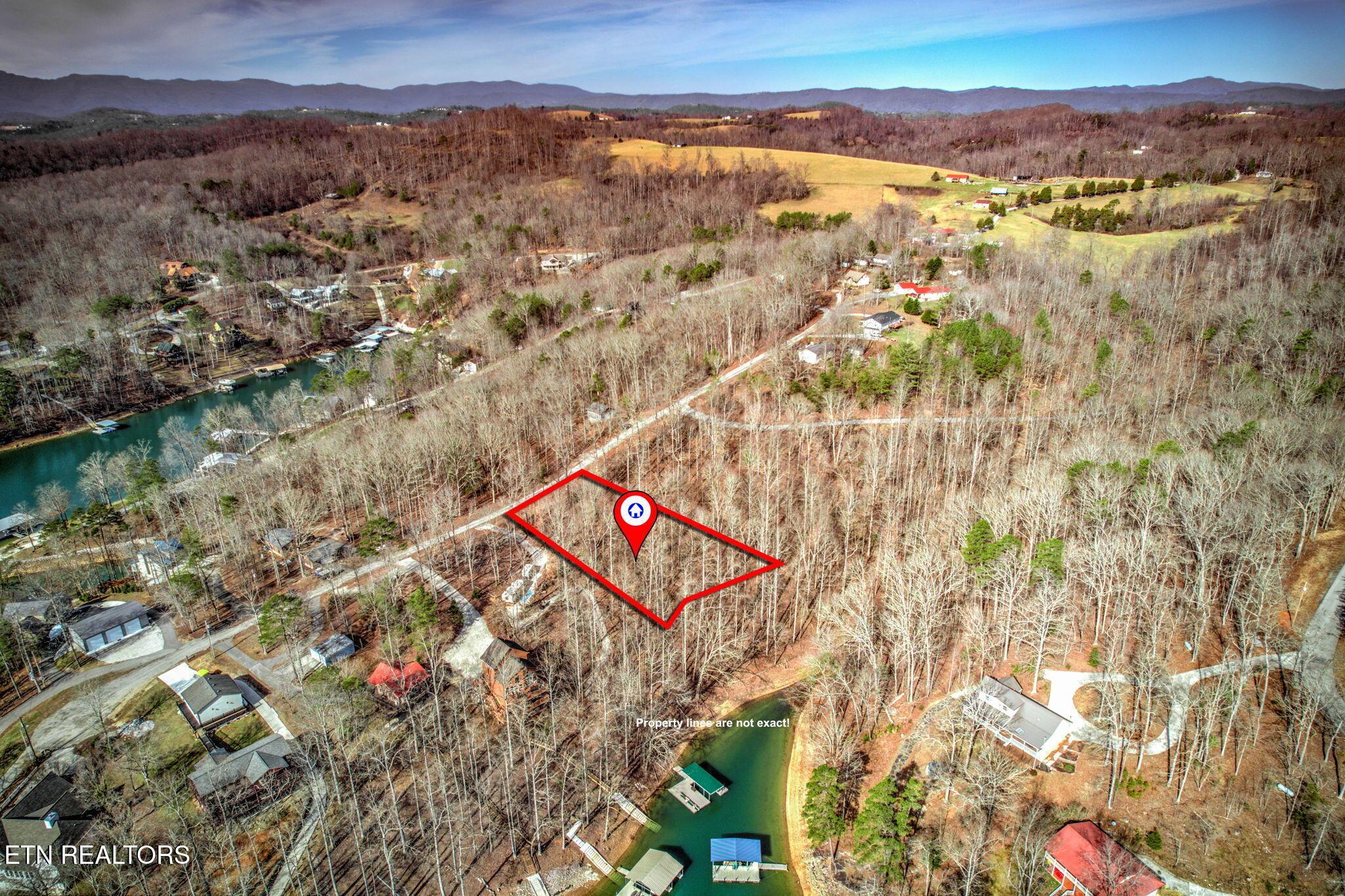 Norris Lake Real Estate - Image# 3