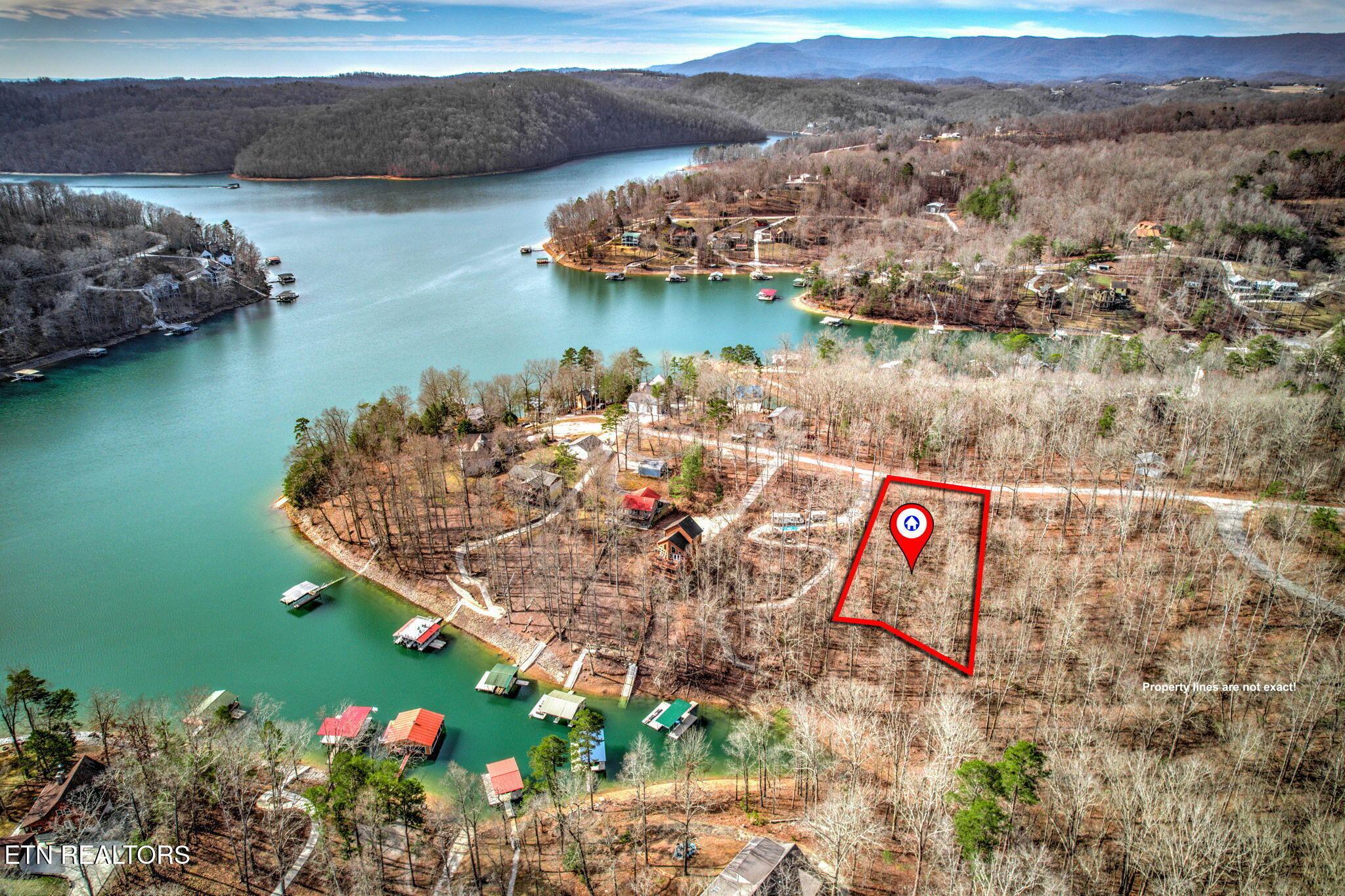 Norris Lake Real Estate - Image# 4