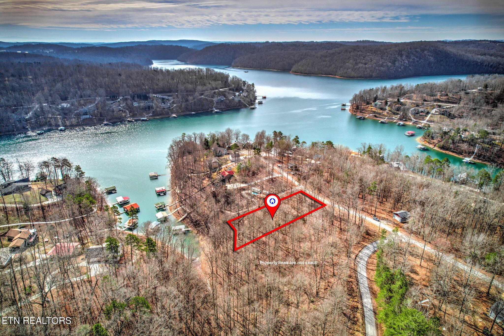 Norris Lake Real Estate - Image# 1