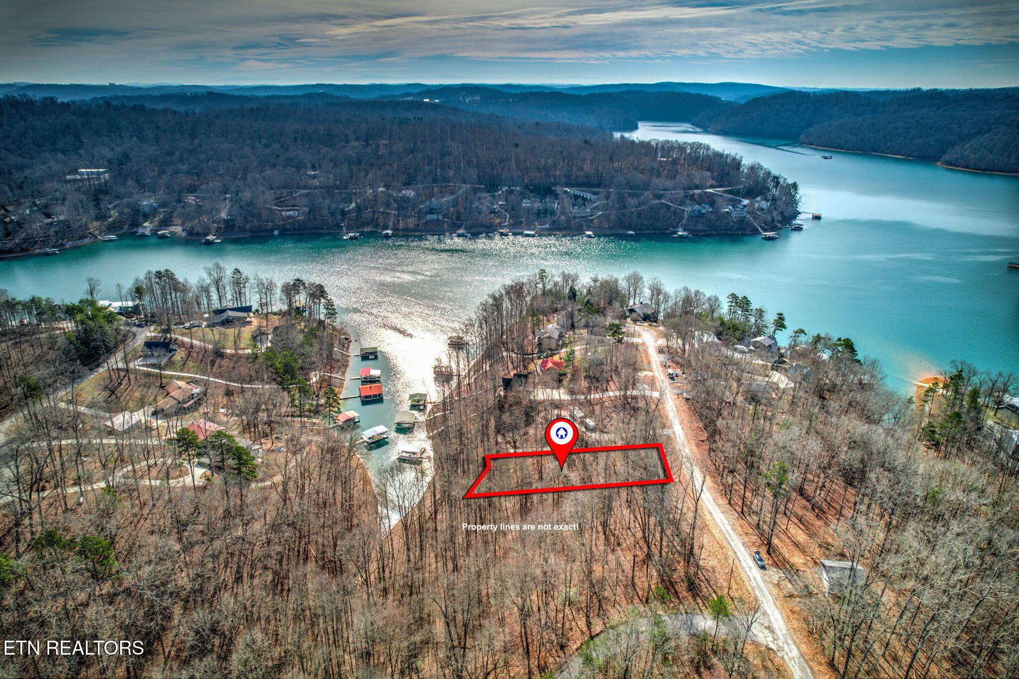 Norris Lake Real Estate - Image# 5