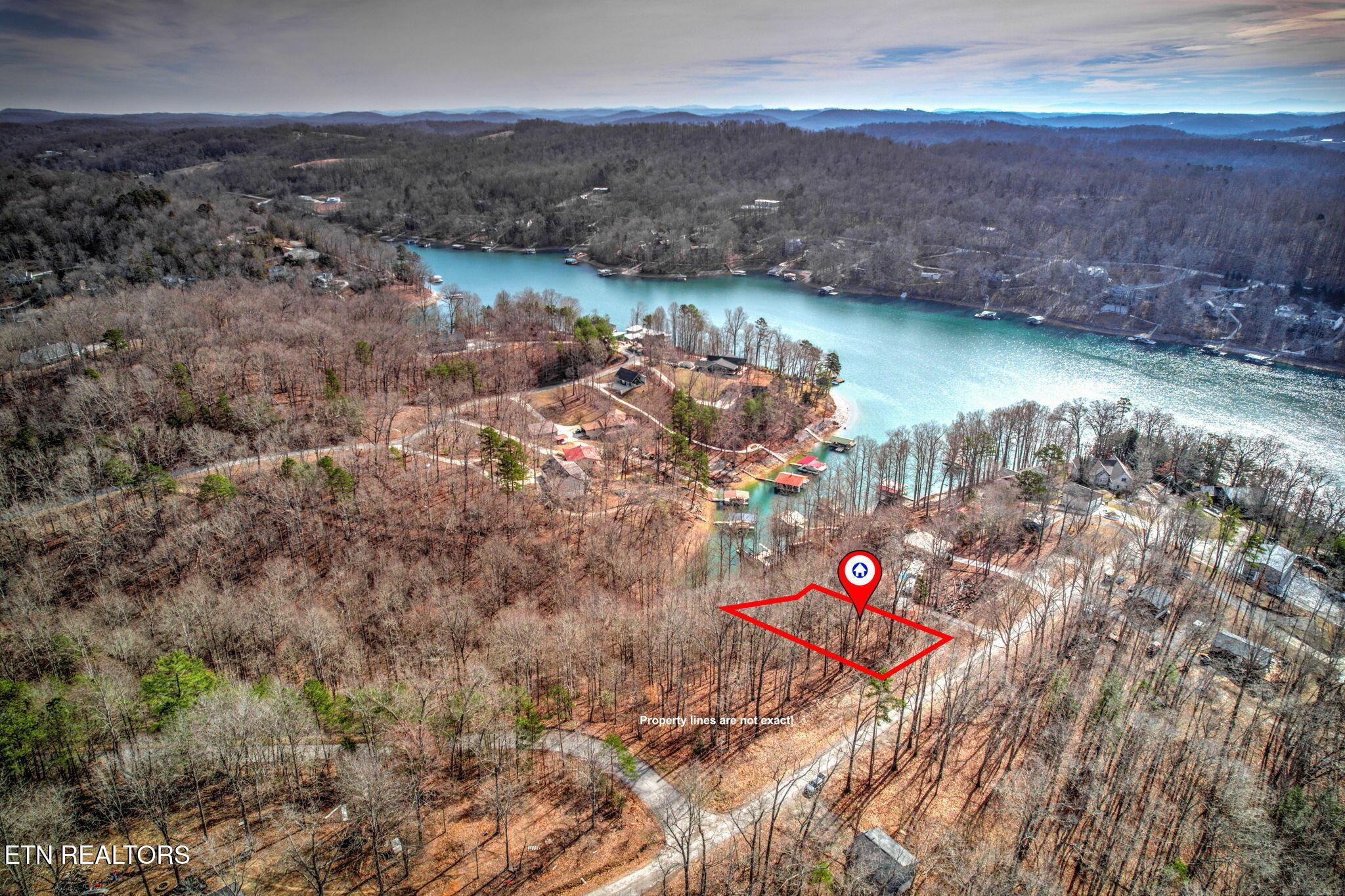 Norris Lake Real Estate - Image# 6