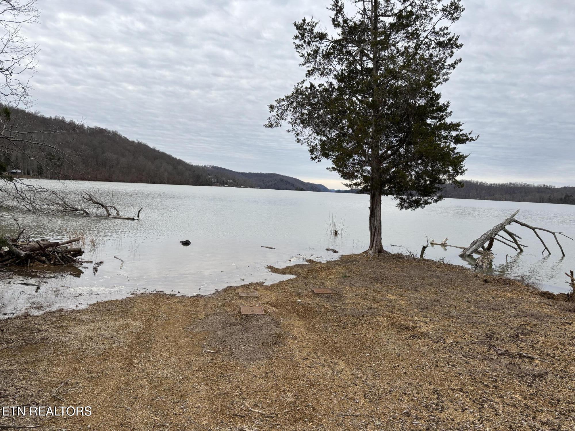 Norris Lake Real Estate - Image# 59