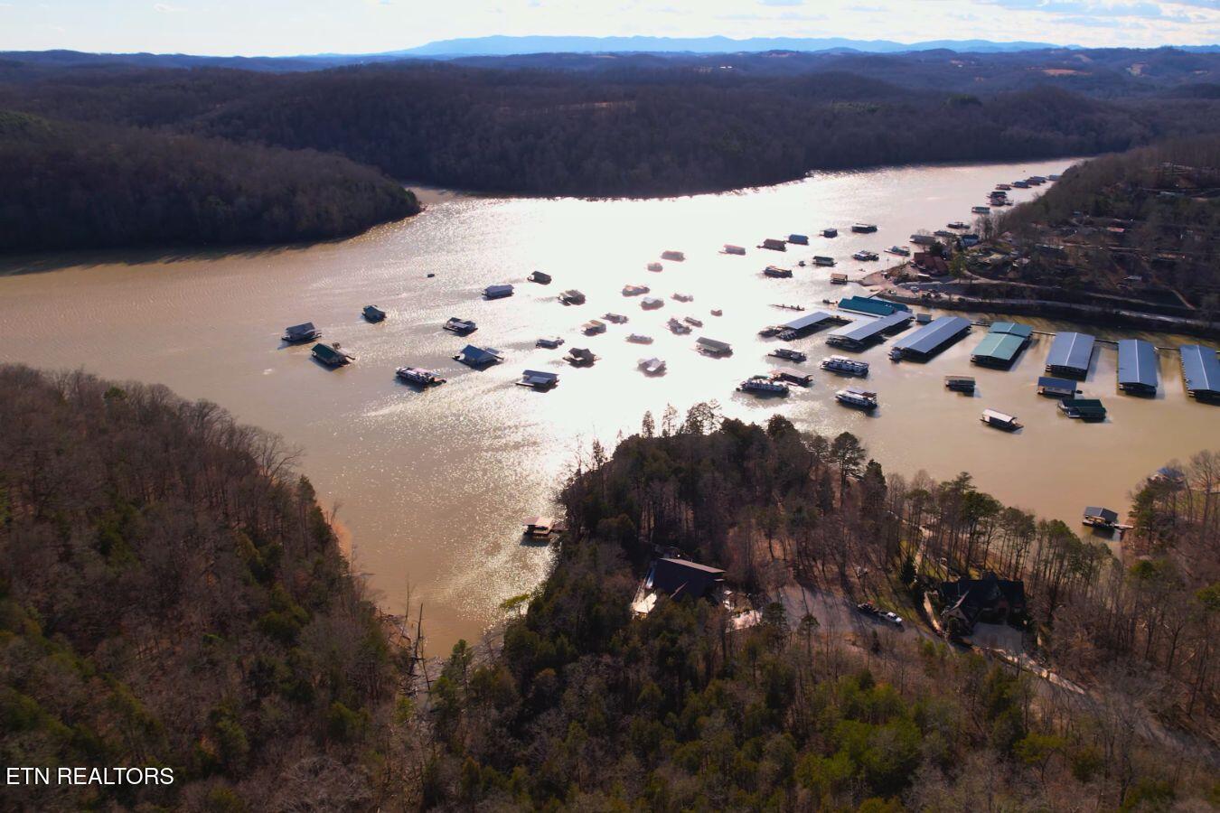 Norris Lake Real Estate - Image# 3