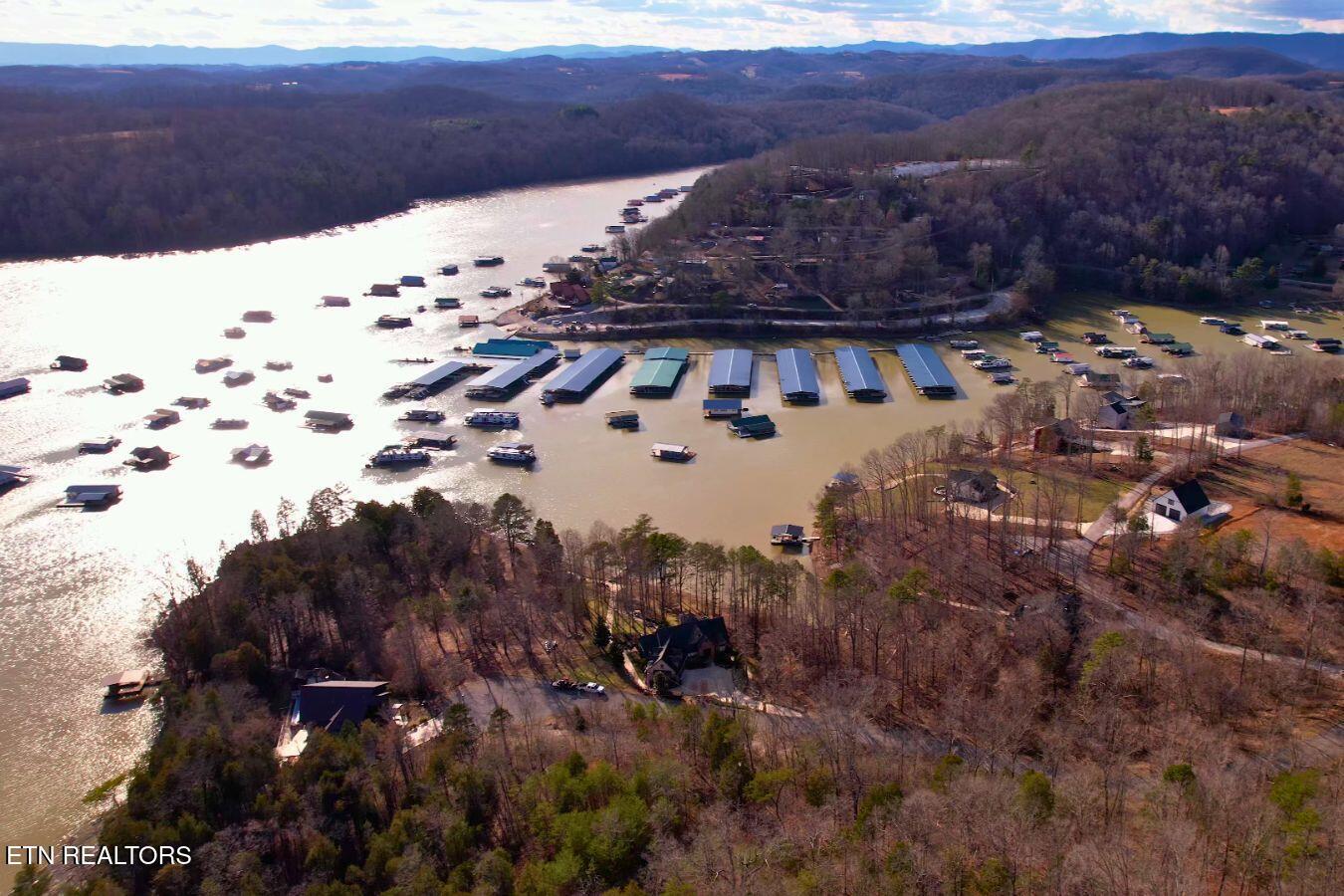 Norris Lake Real Estate - Image# 7