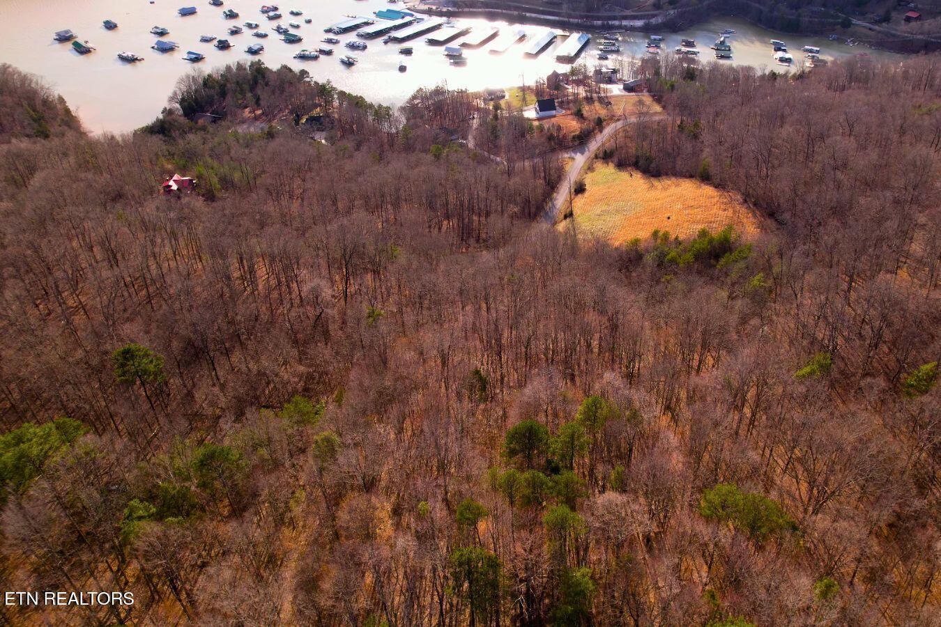 Norris Lake Real Estate - Image# 5