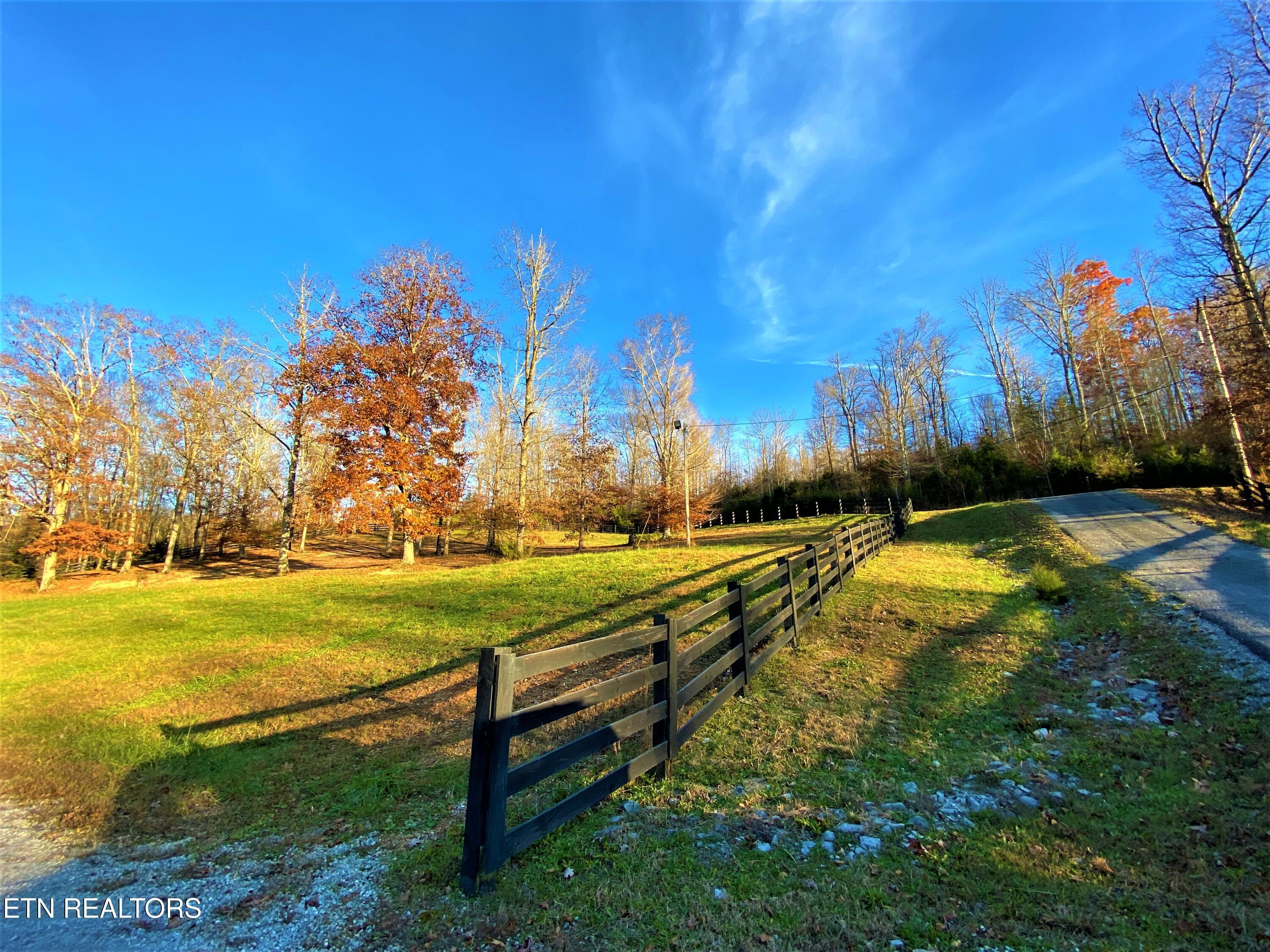 Norris Lake Real Estate - Image# 23