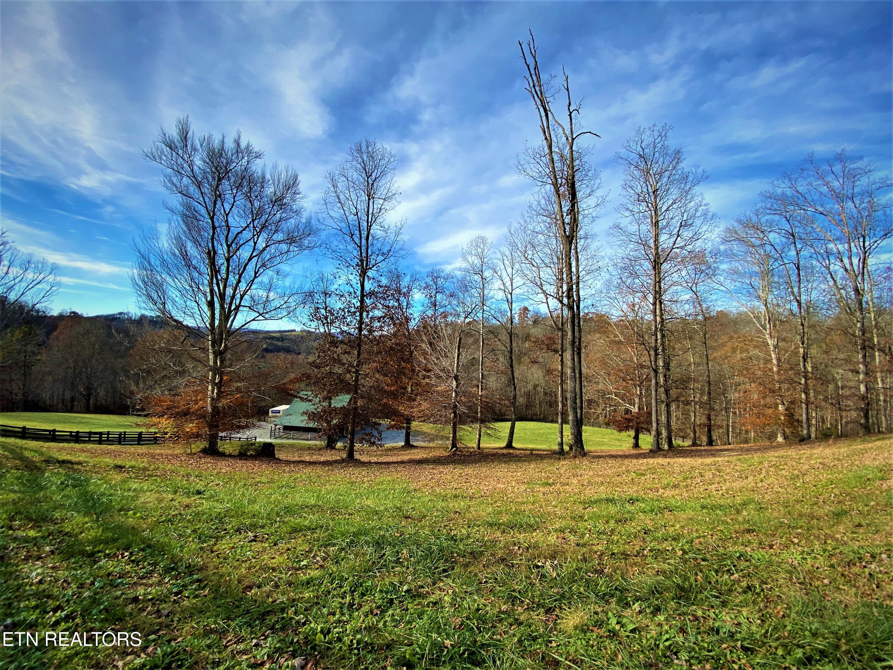 Norris Lake Real Estate - Image# 24