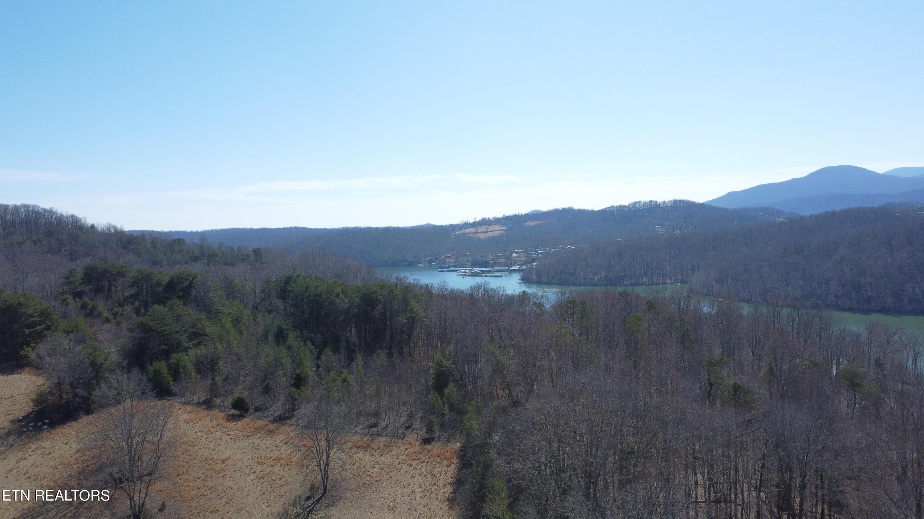 Norris Lake Real Estate - Image# 12