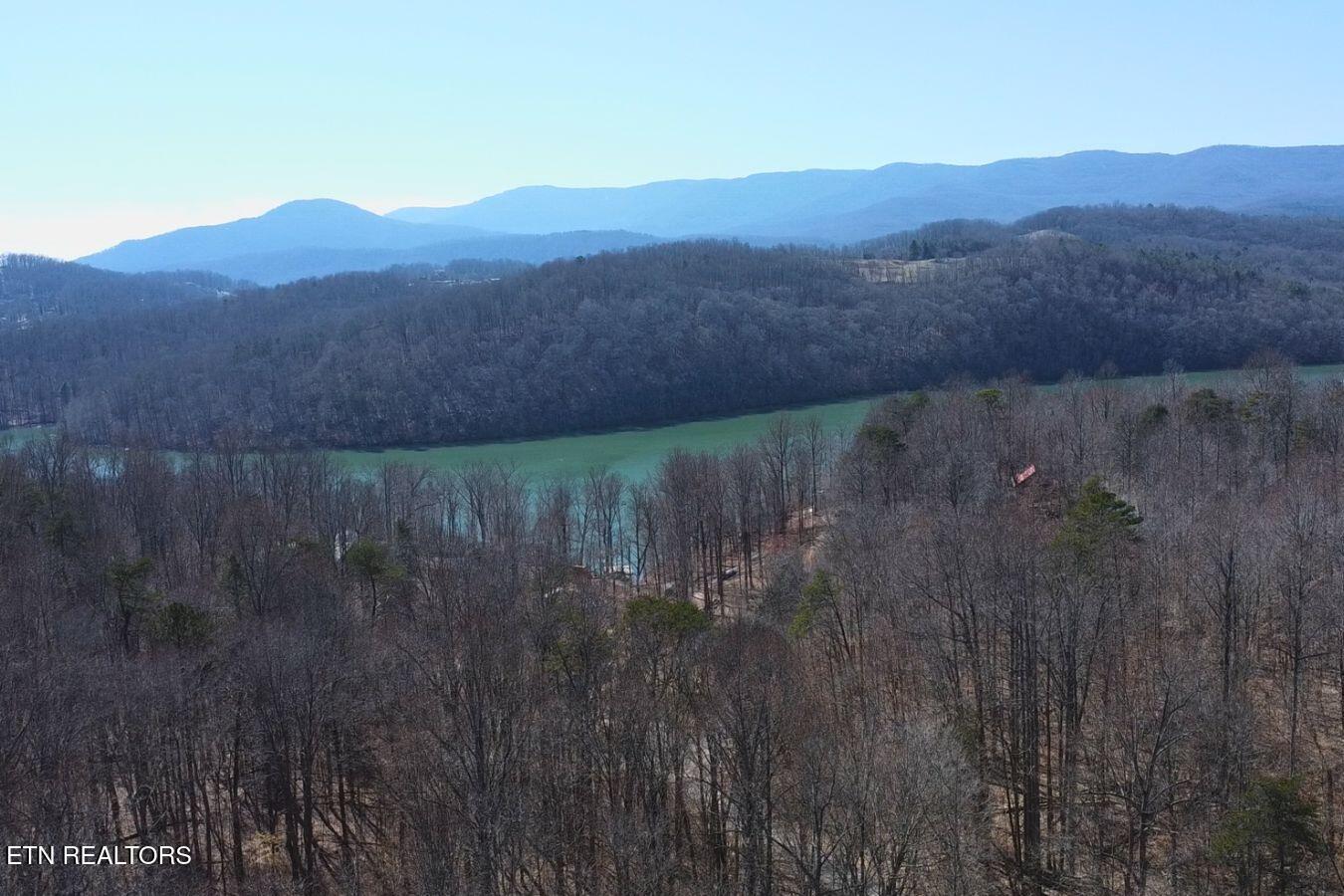 Norris Lake Real Estate - Image# 14