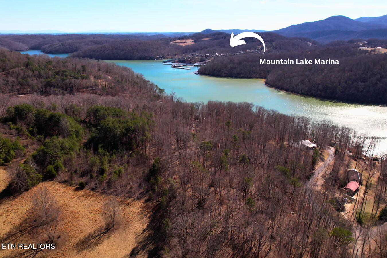 Norris Lake Real Estate - Image# 9