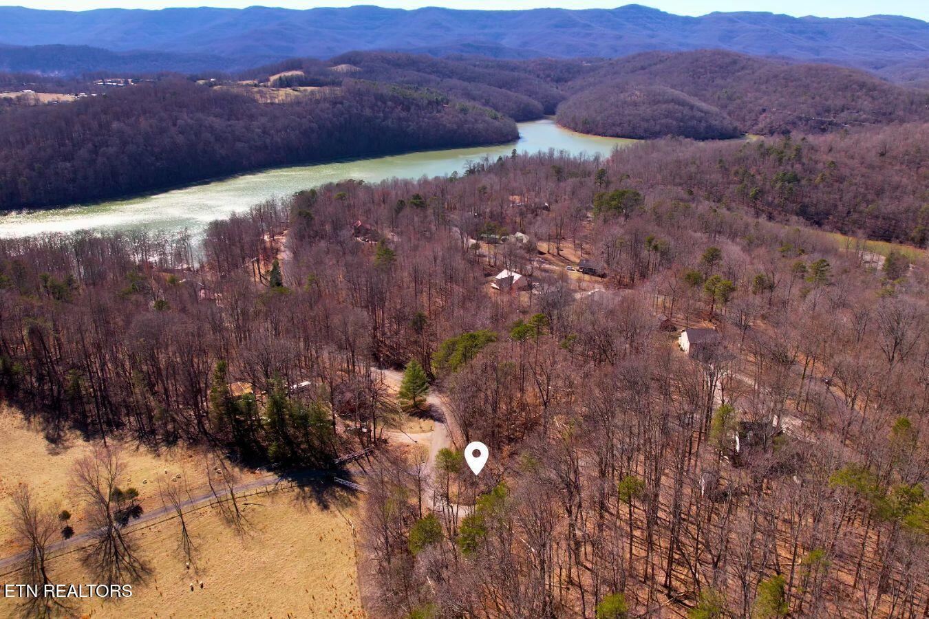 Norris Lake Real Estate - Image# 5