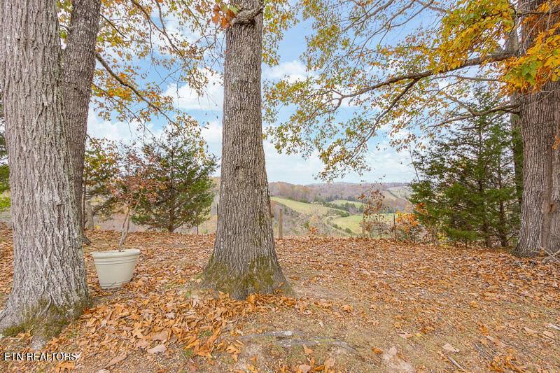 Norris Lake Real Estate - Image# 18