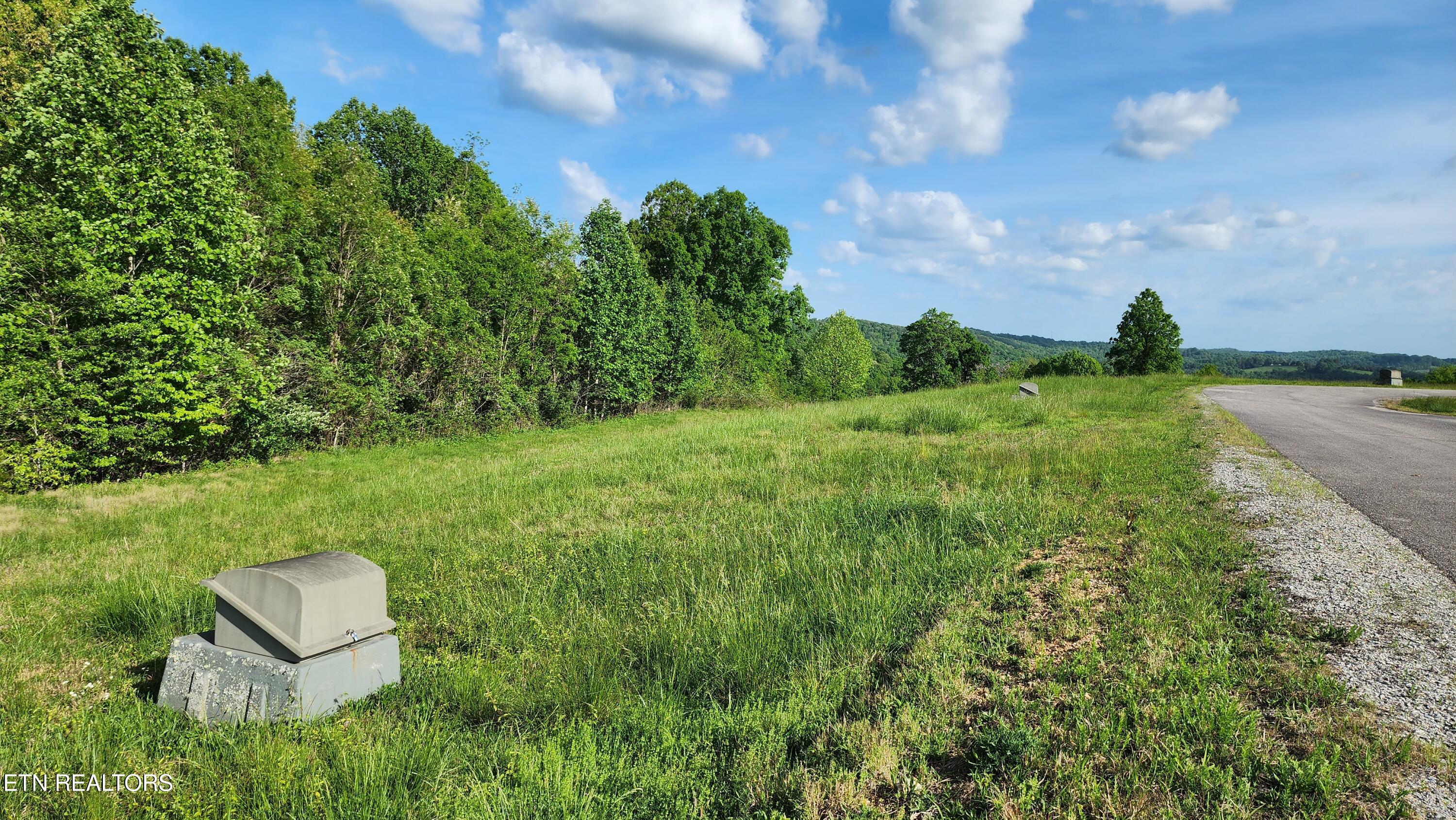 Norris Lake Real Estate - Image# 7