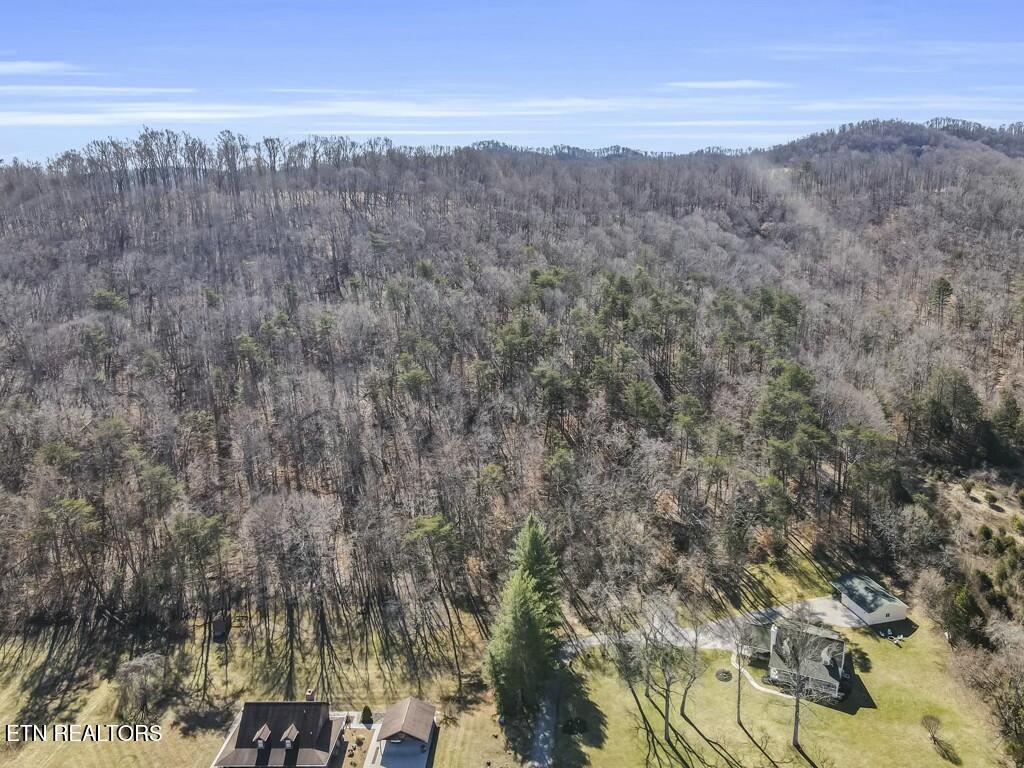 Norris Lake Real Estate - Image# 3