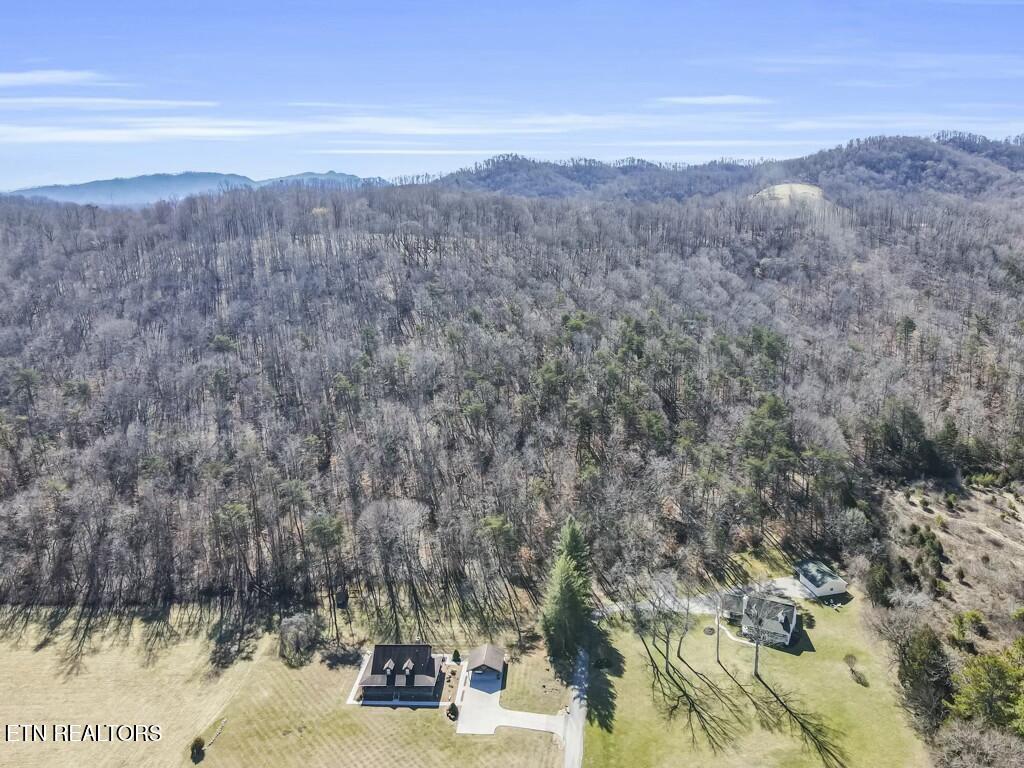 Norris Lake Real Estate - Image# 4