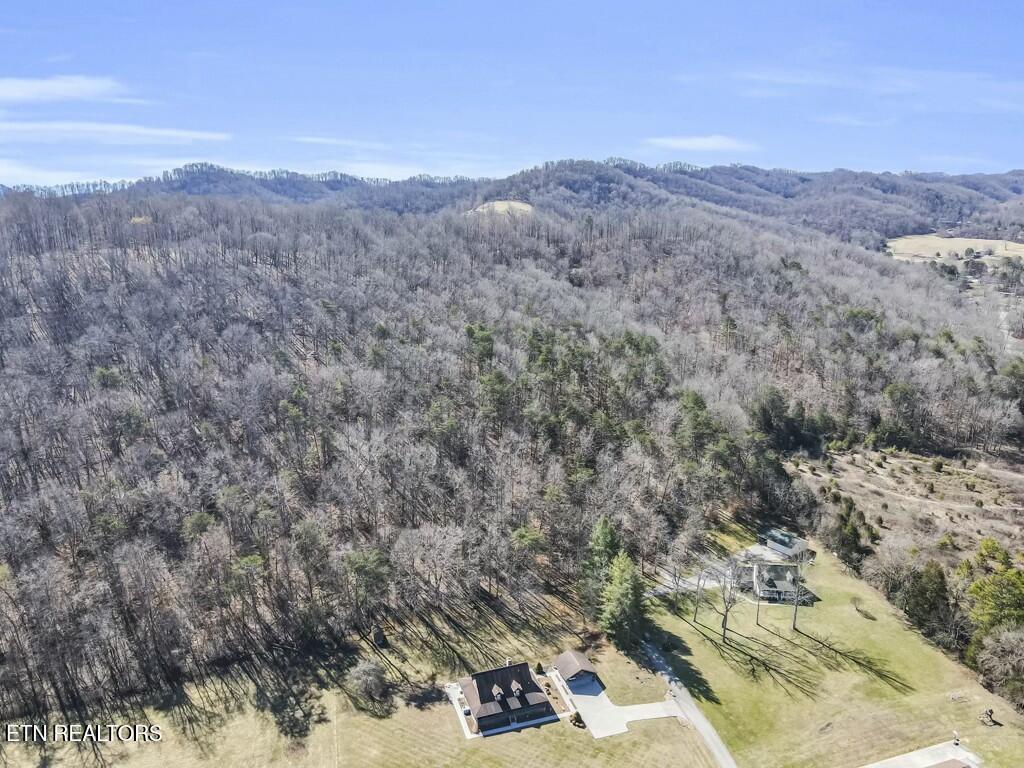 Norris Lake Real Estate - Image# 5