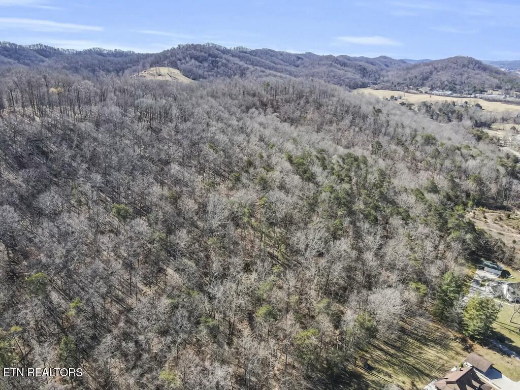 Norris Lake Real Estate - Image# 6