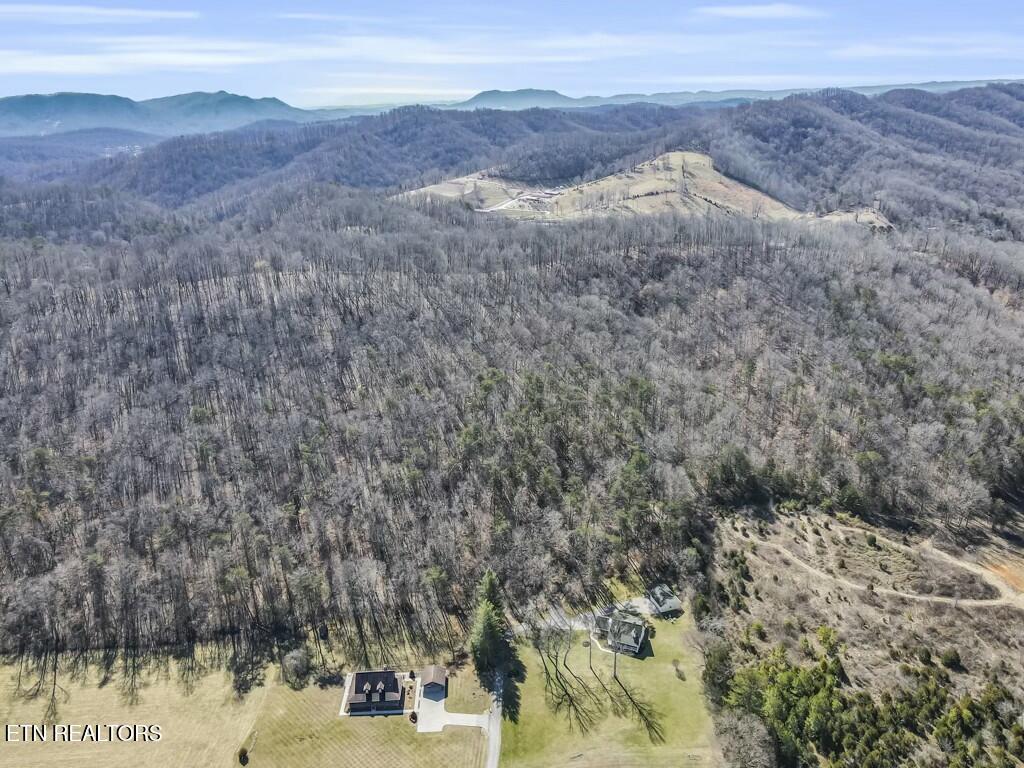 Norris Lake Real Estate - Image# 11