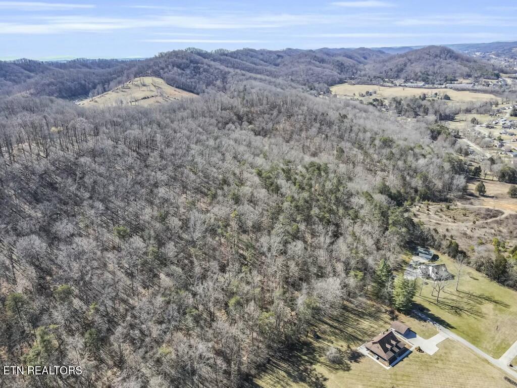 Norris Lake Real Estate - Image# 12