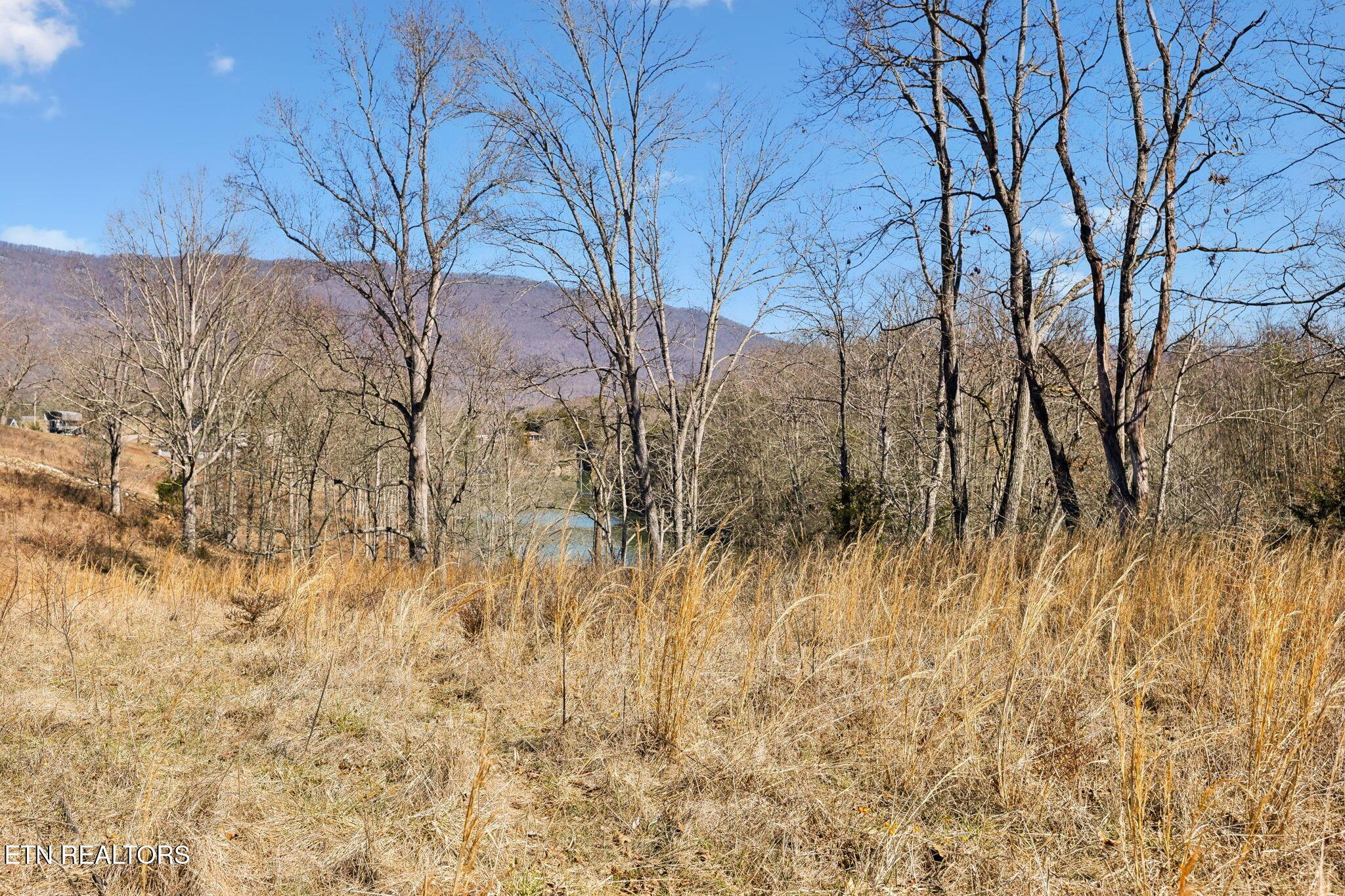 Norris Lake Real Estate - Image# 8