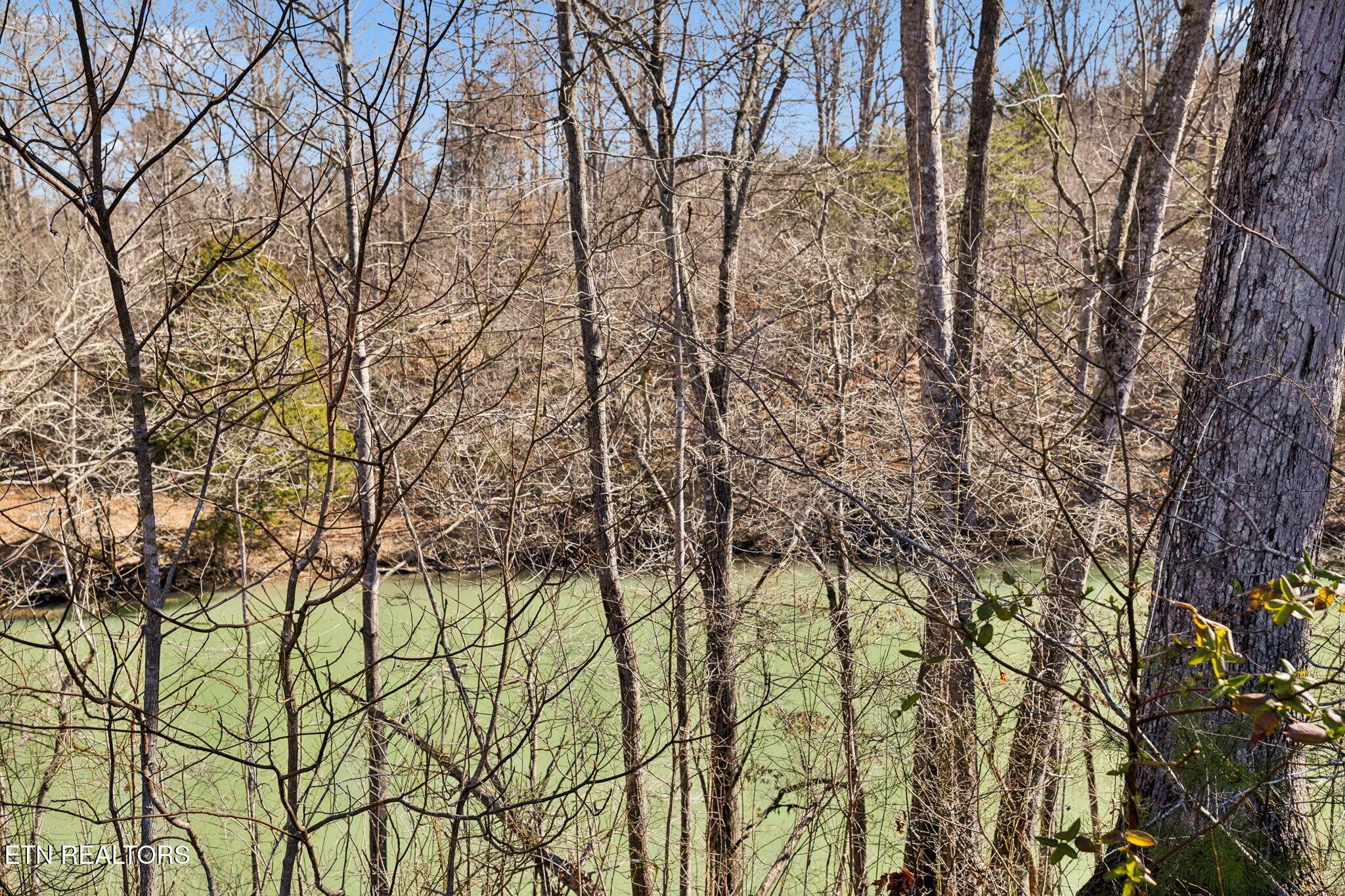 Norris Lake Real Estate - Image# 9