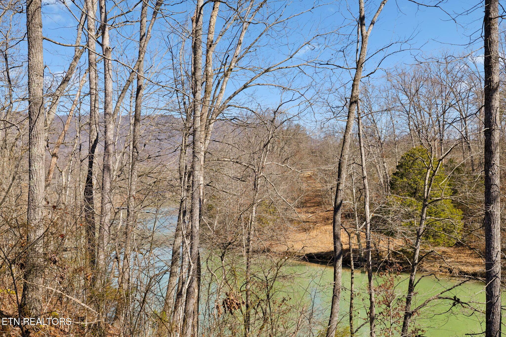 Norris Lake Real Estate - Image# 13