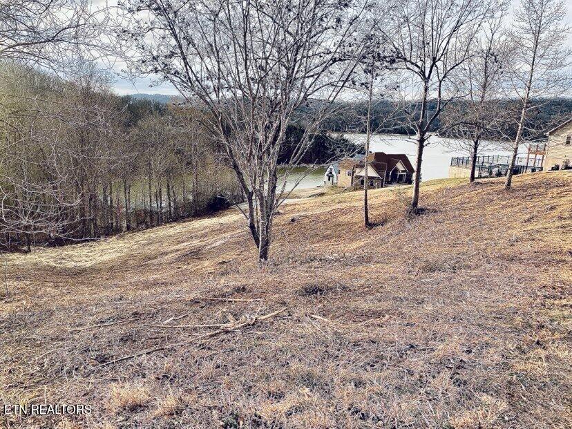 Norris Lake Real Estate - Image# 1