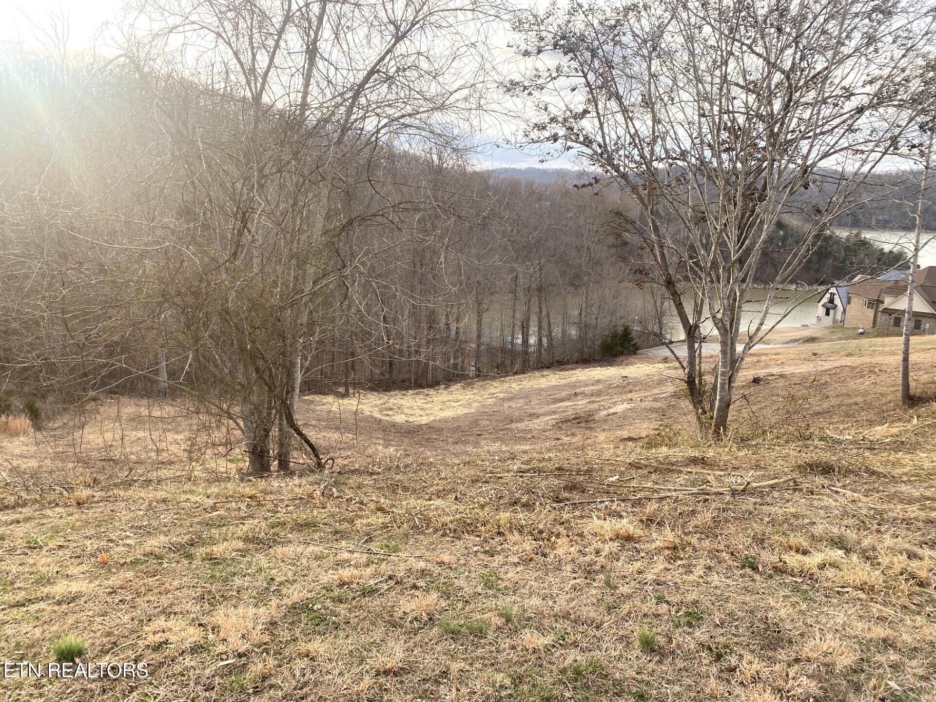 Norris Lake Real Estate - Image# 8