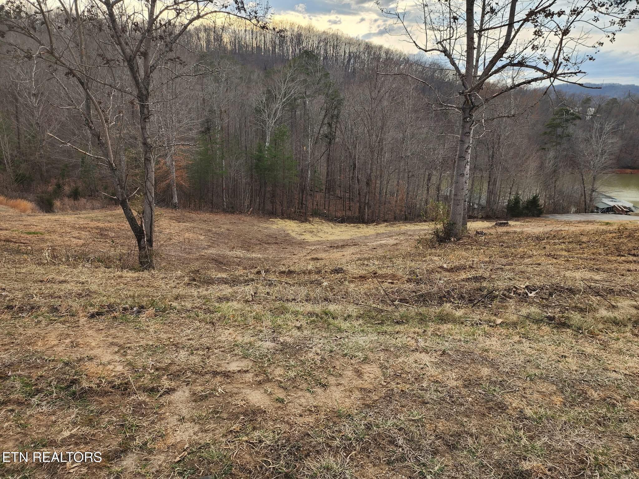 Norris Lake Real Estate - Image# 18