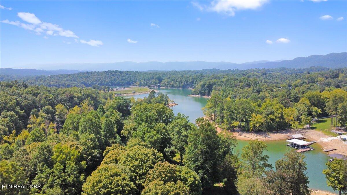 Norris Lake Real Estate - Image# 24