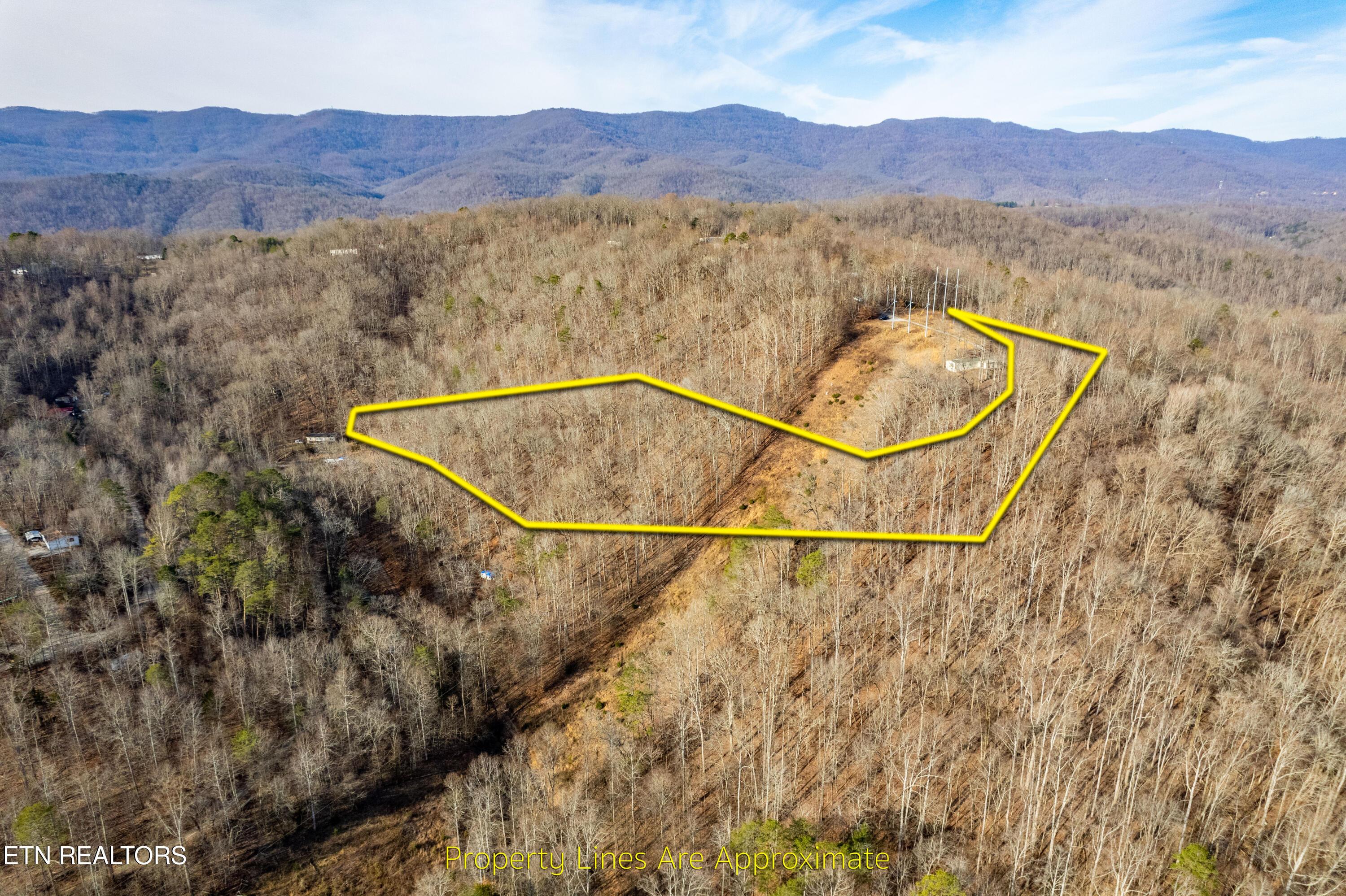 Norris Lake Real Estate - Image# 3