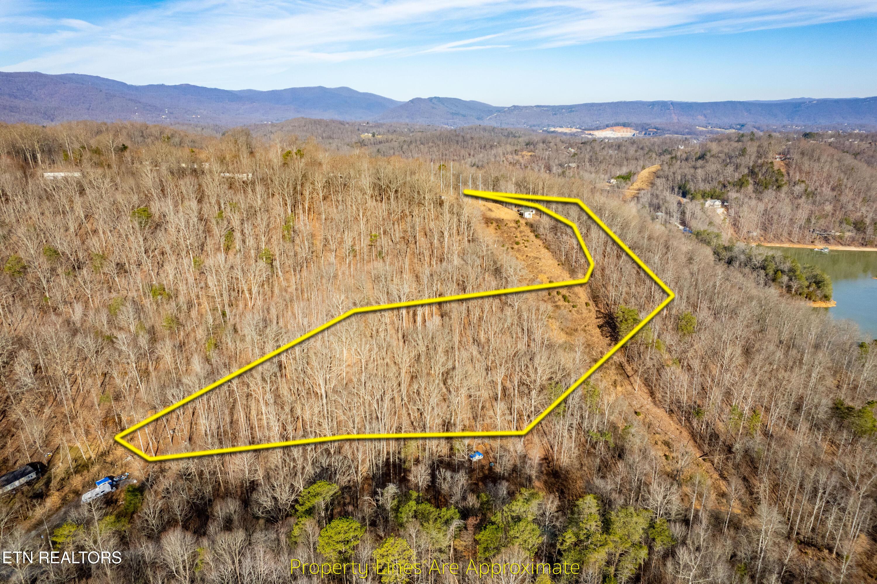 Norris Lake Real Estate - Image# 5