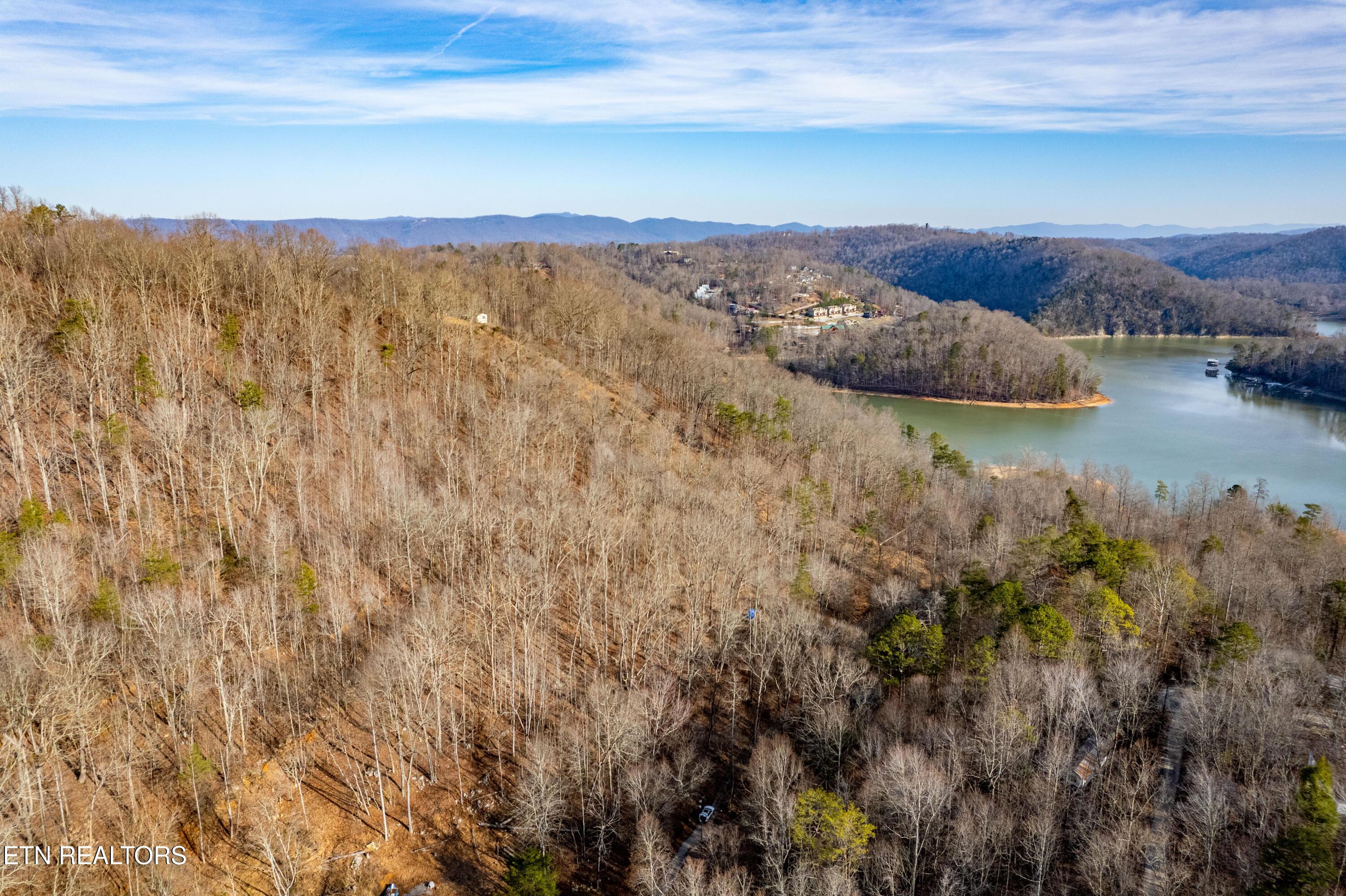 Norris Lake Real Estate - Image# 6