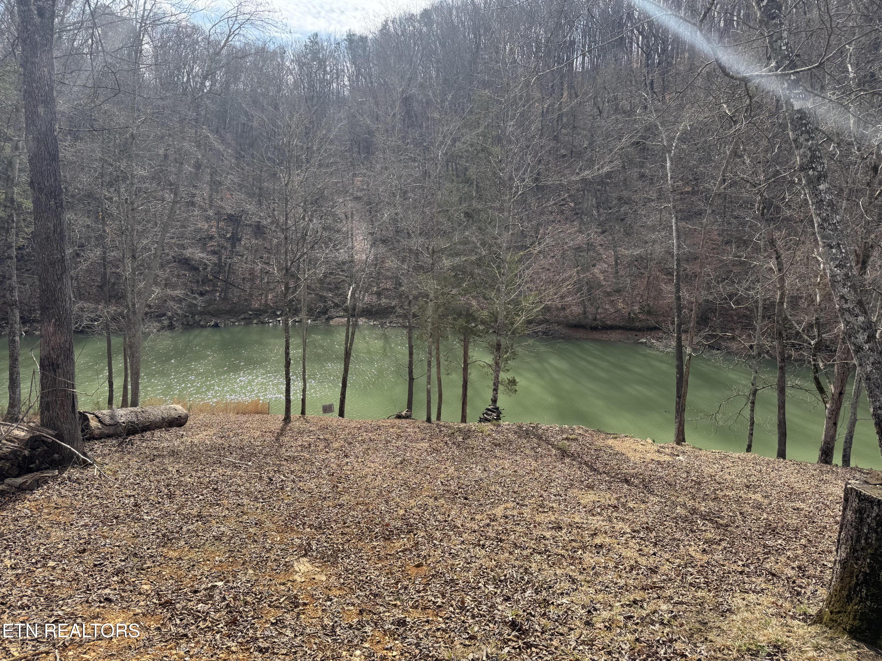 Norris Lake Real Estate - Image# 2