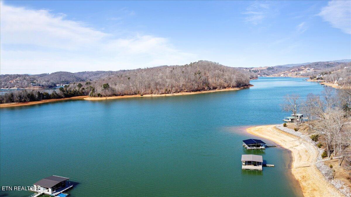 Norris Lake Real Estate - Image# 12